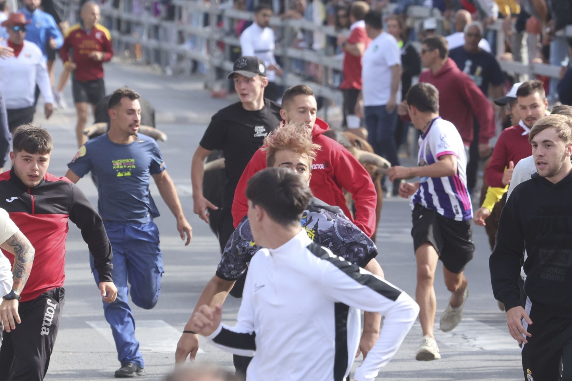 Las imágenes del encierro de este lunes en Medina del Campo