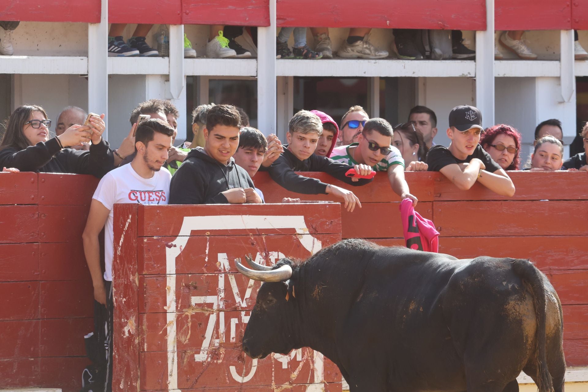 Las imágenes del encierro de este lunes en Medina del Campo