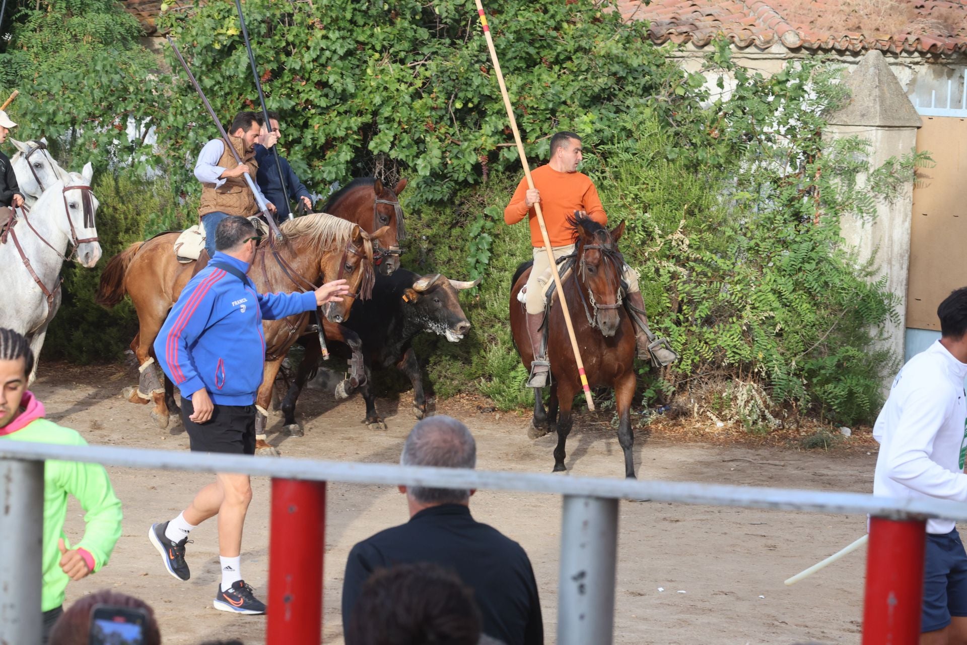 Las imágenes del encierro de este lunes en Medina del Campo