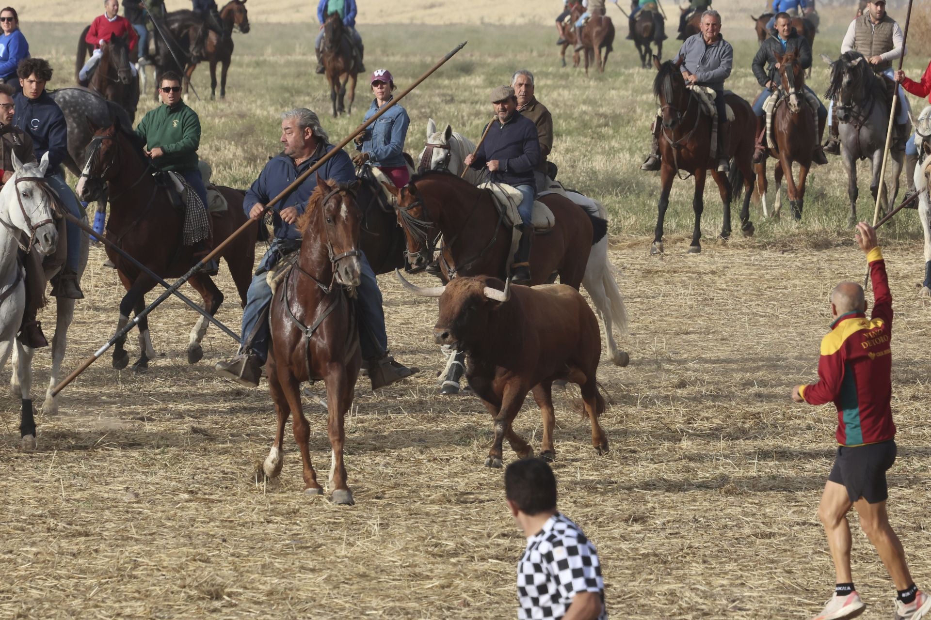 Las imágenes del encierro de este lunes en Medina del Campo