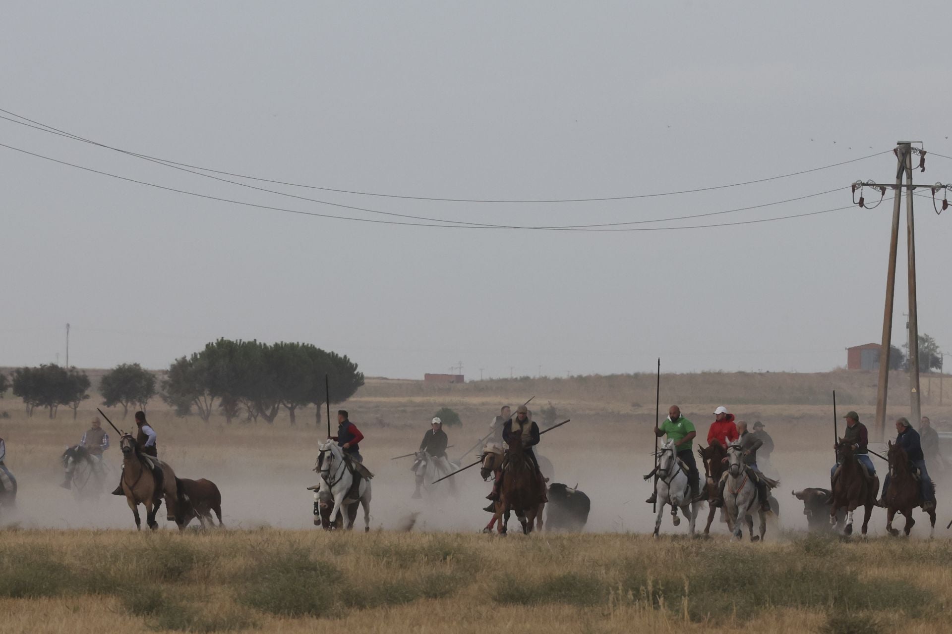 Las imágenes del encierro de este lunes en Medina del Campo