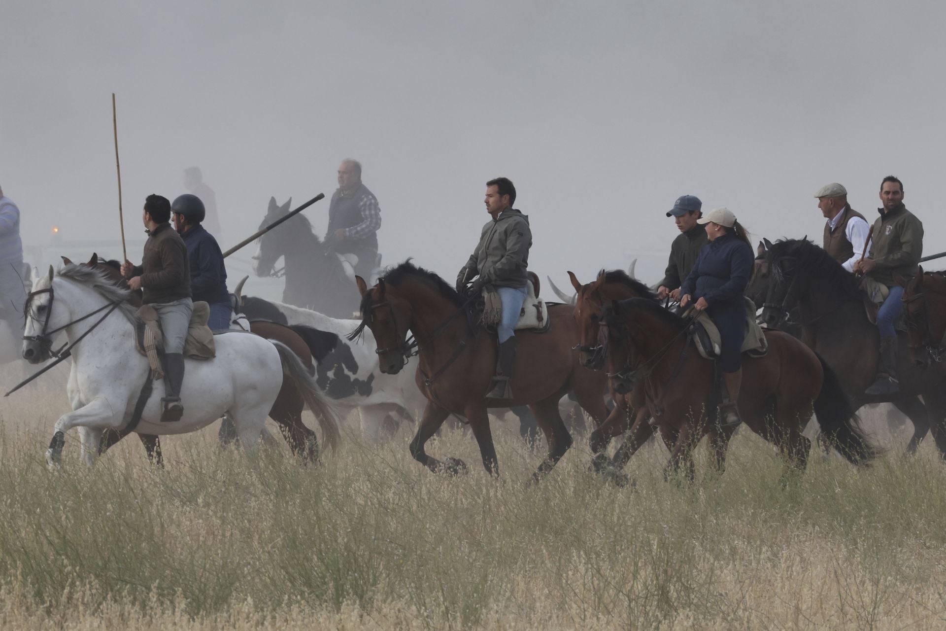 Las imágenes del encierro de este lunes en Medina del Campo