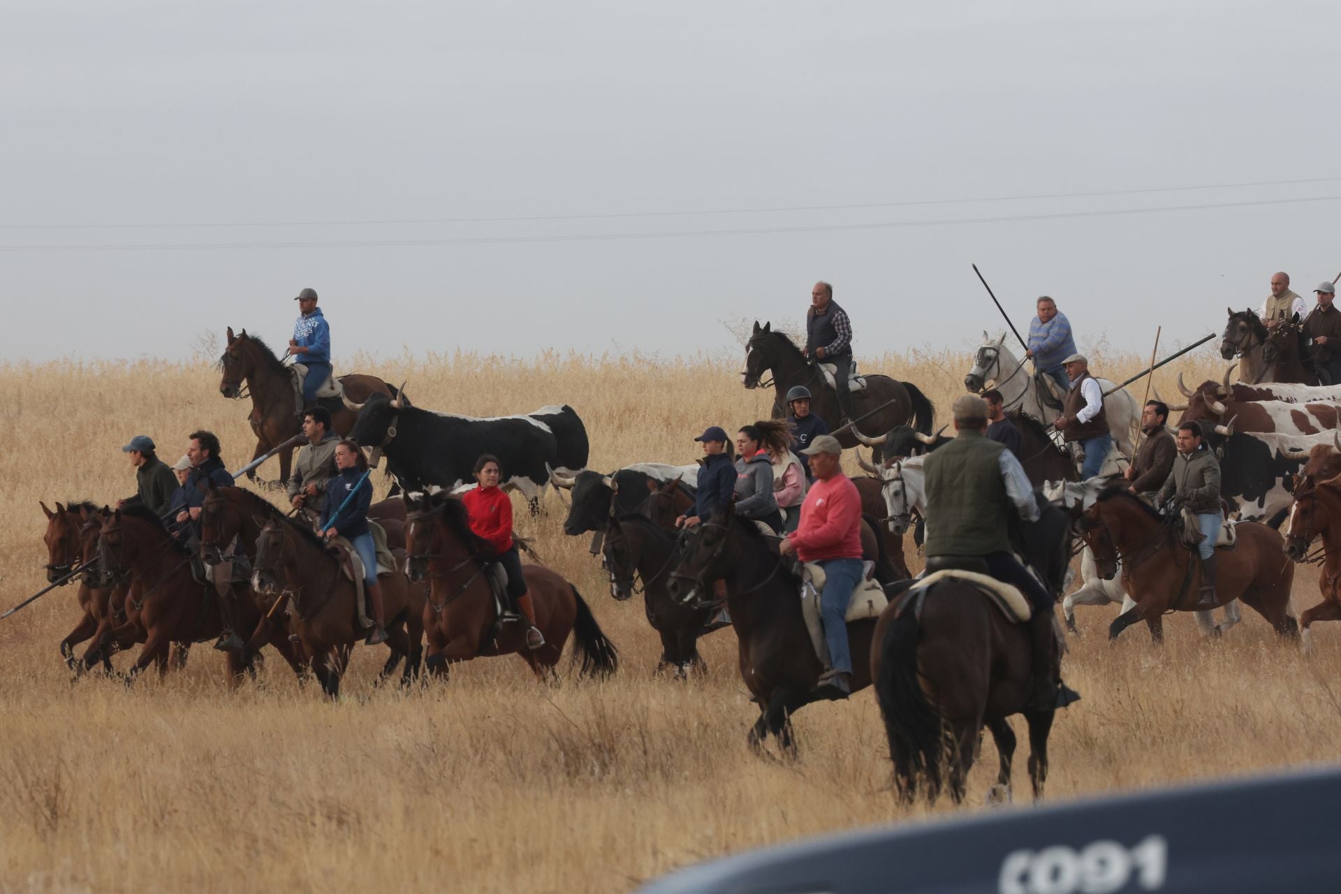 Las imágenes del encierro de este lunes en Medina del Campo