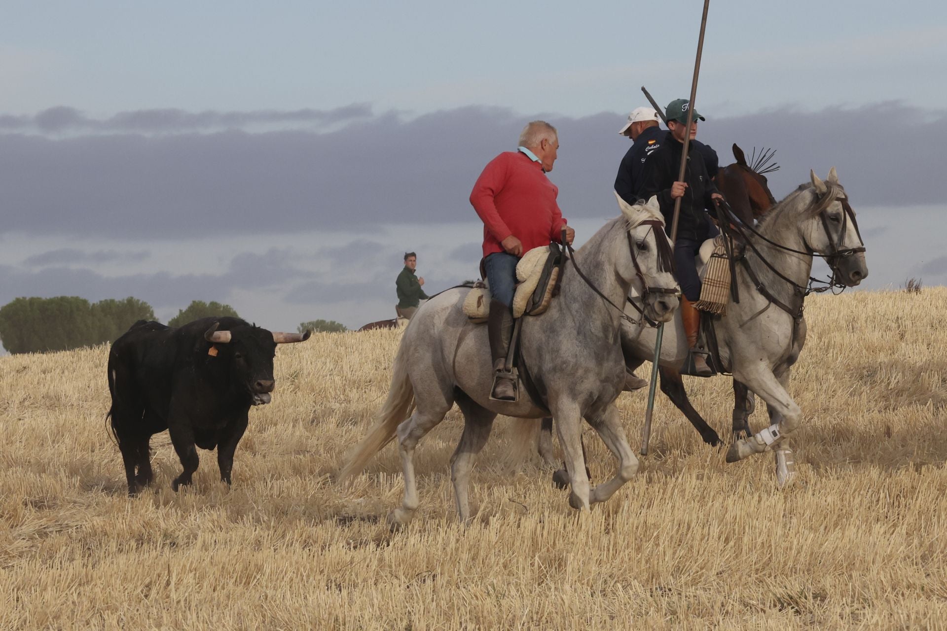 Las imágenes del encierro de este lunes en Medina del Campo