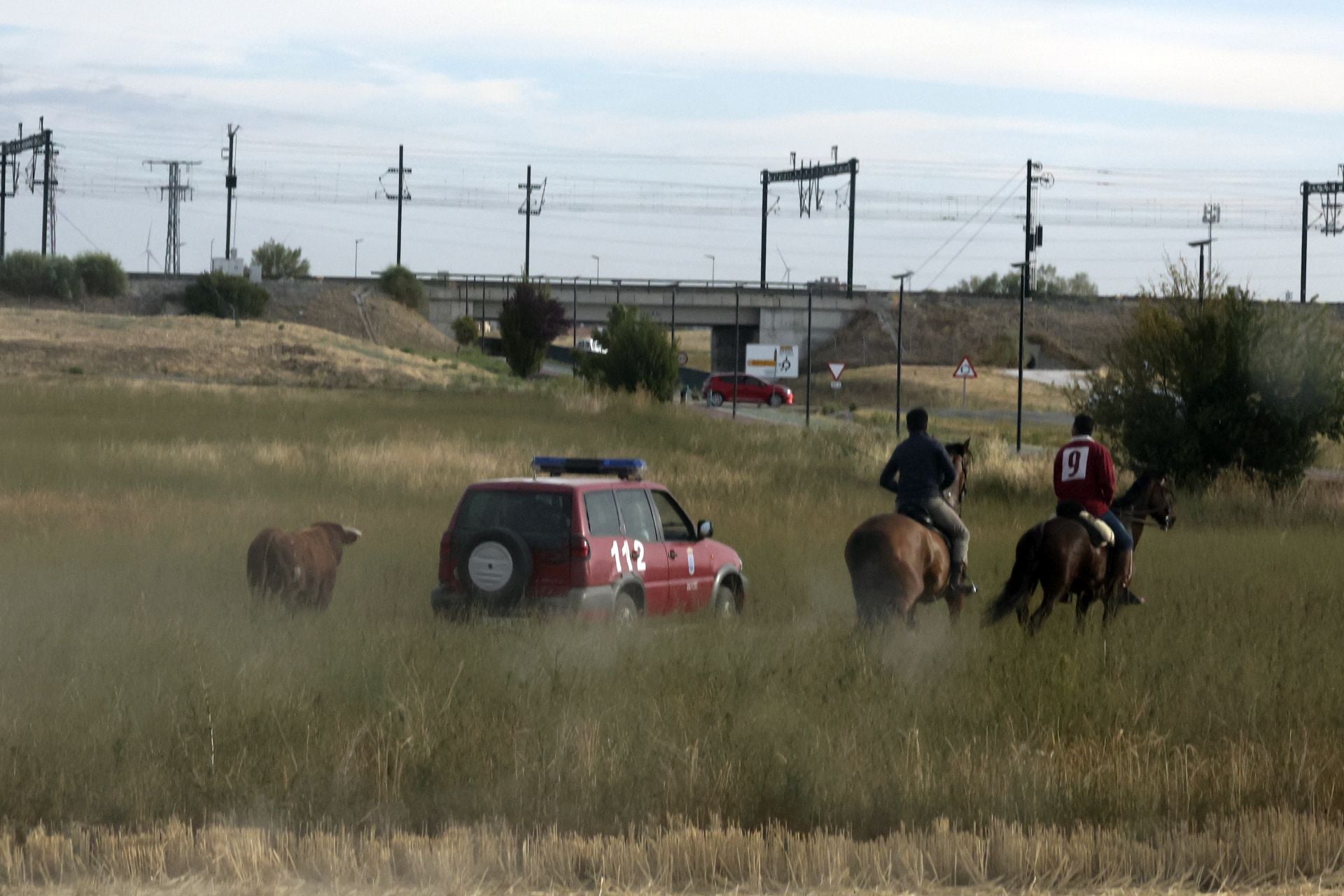 Las imágenes del encierro de este lunes en Medina del Campo