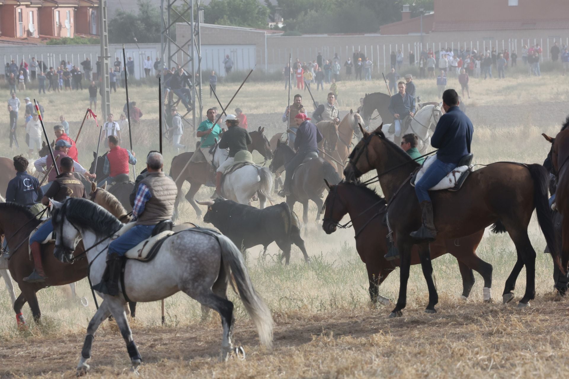 Las imágenes del encierro de este lunes en Medina del Campo