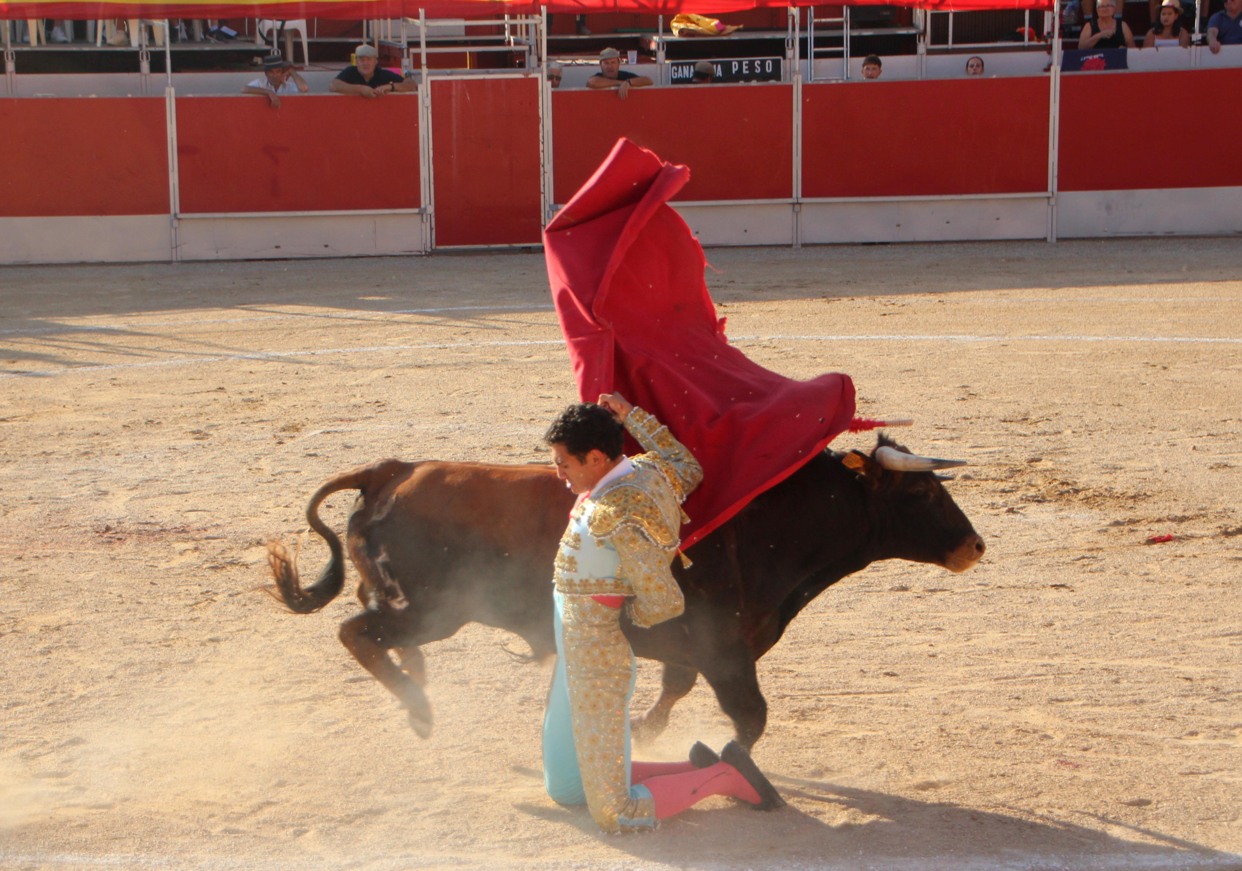 Festejos Taurinos en Baltanás