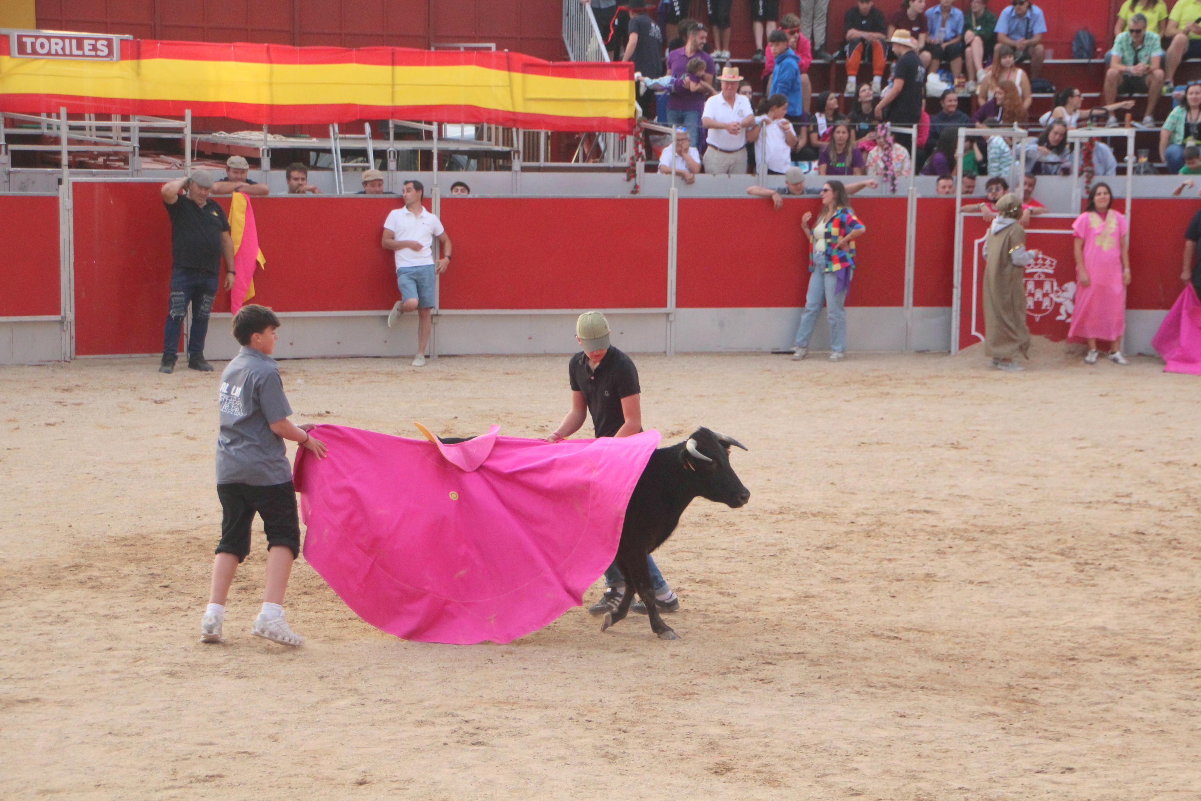 Festejos Taurinos en Baltanás