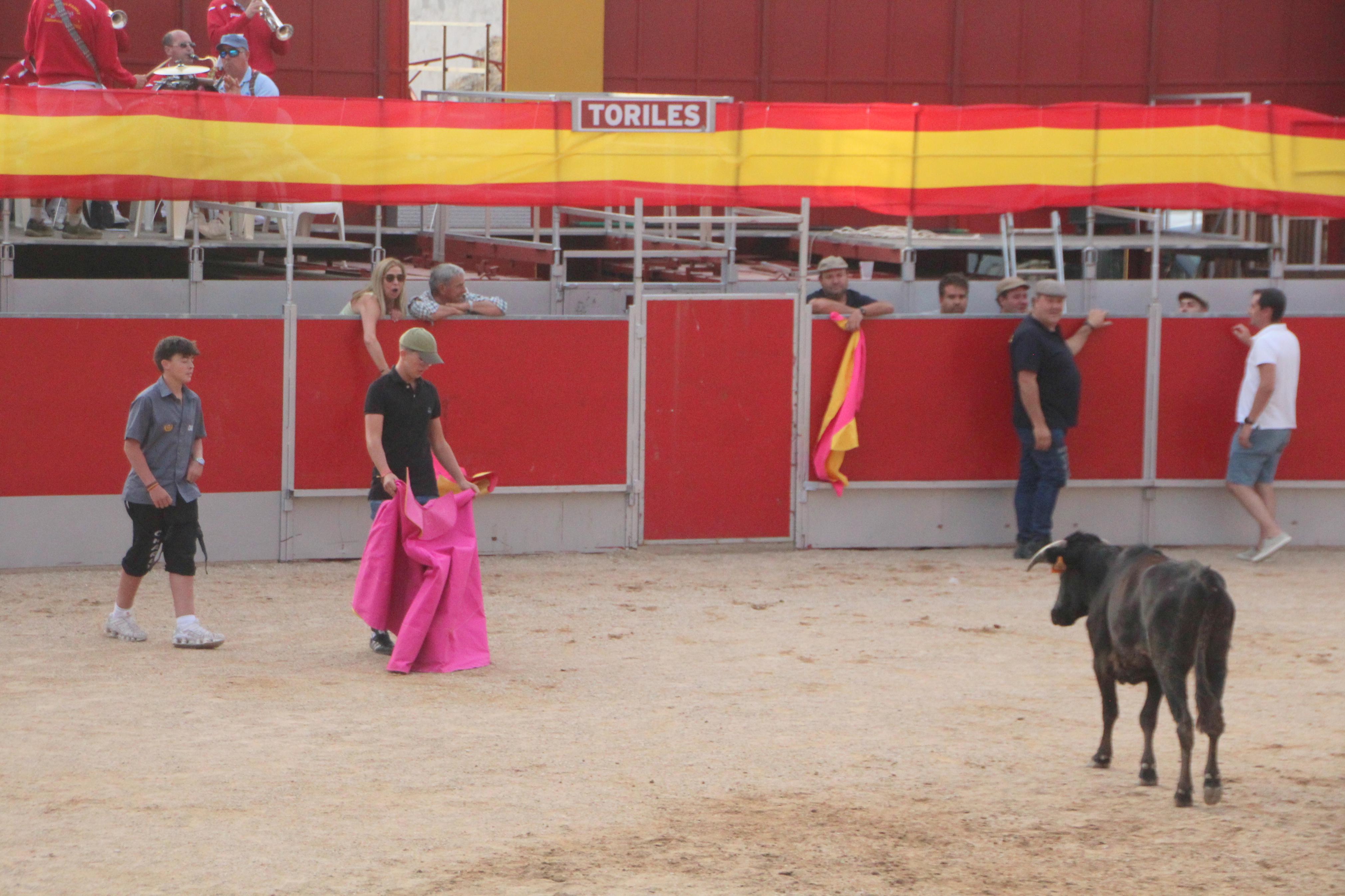 Festejos Taurinos en Baltanás
