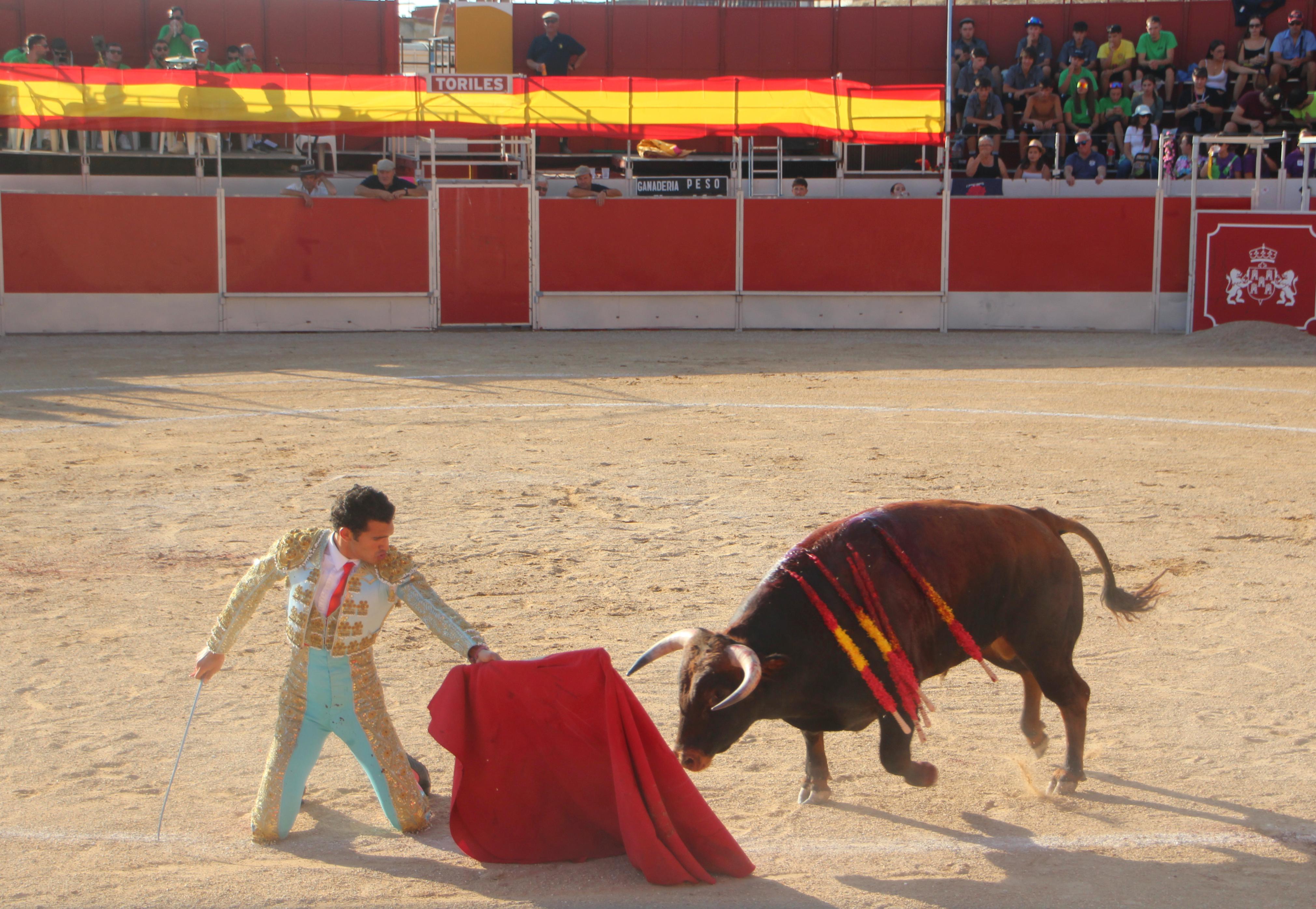 Festejos Taurinos en Baltanás