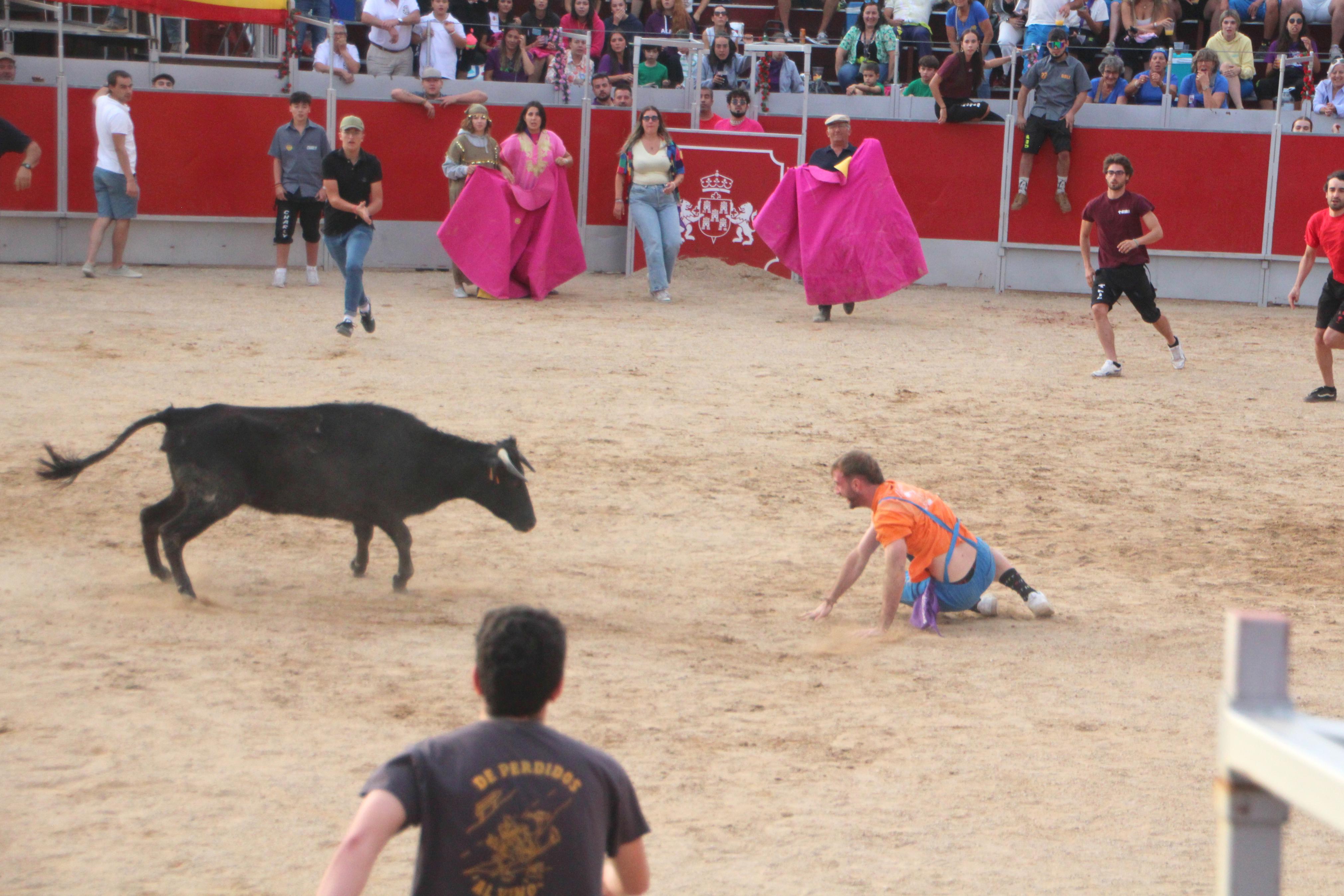 Festejos Taurinos en Baltanás
