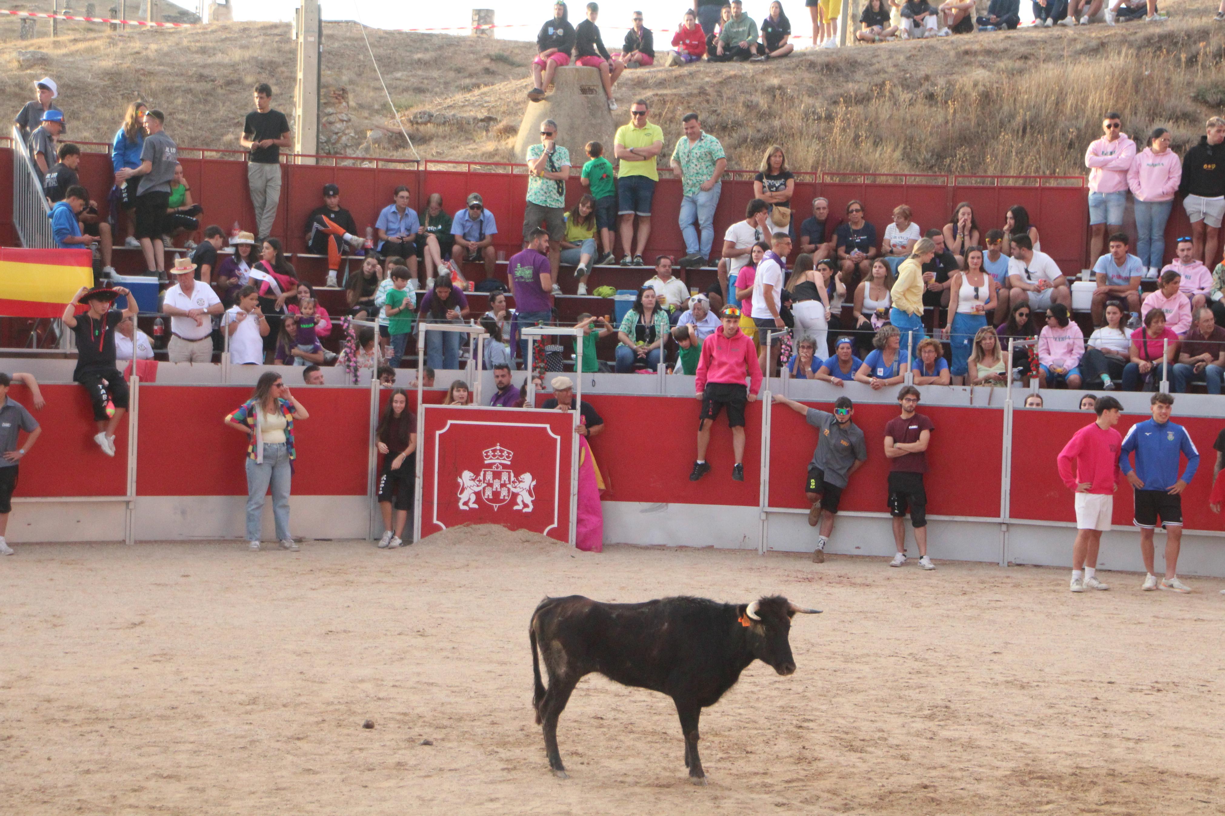 Festejos Taurinos en Baltanás