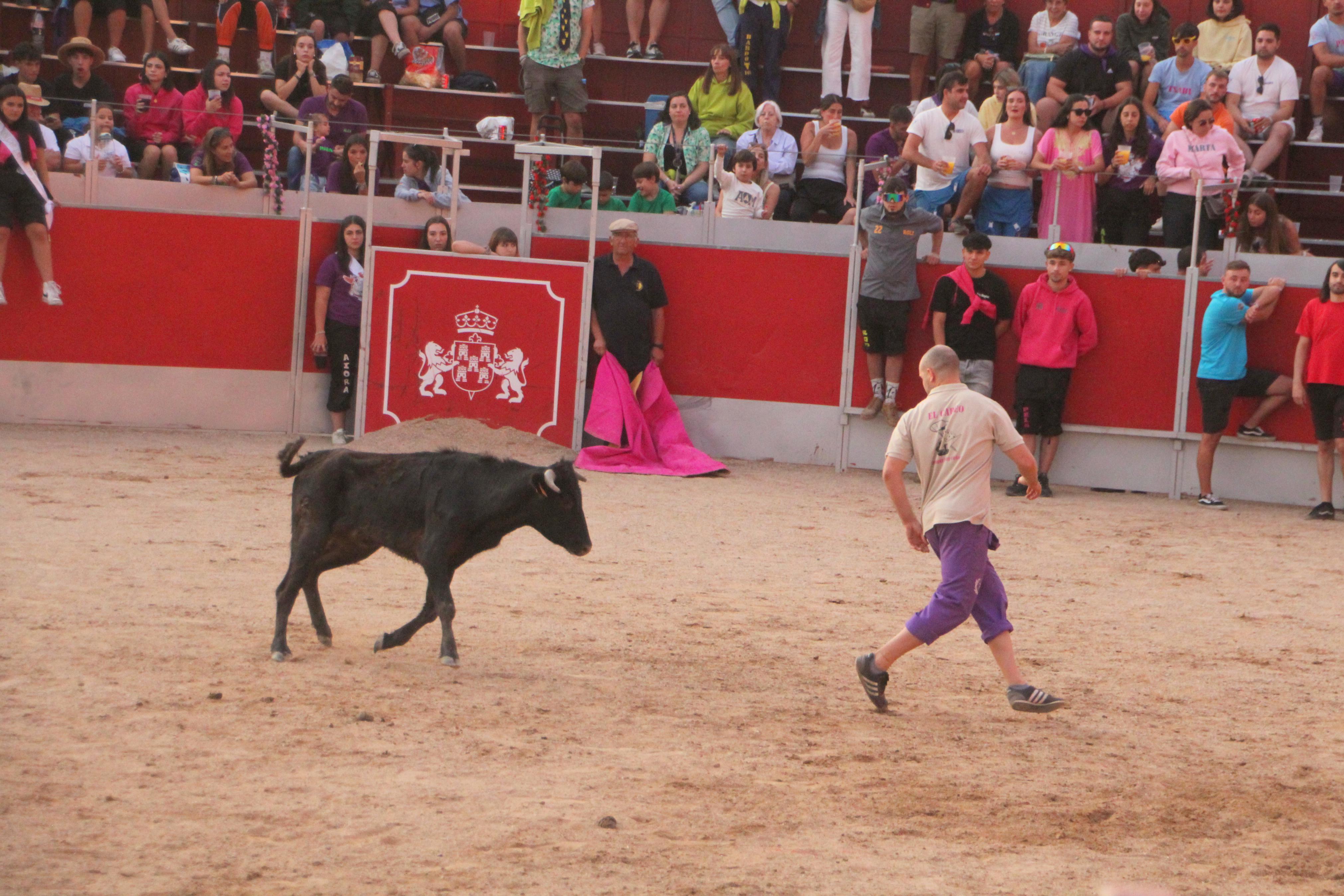 Festejos Taurinos en Baltanás