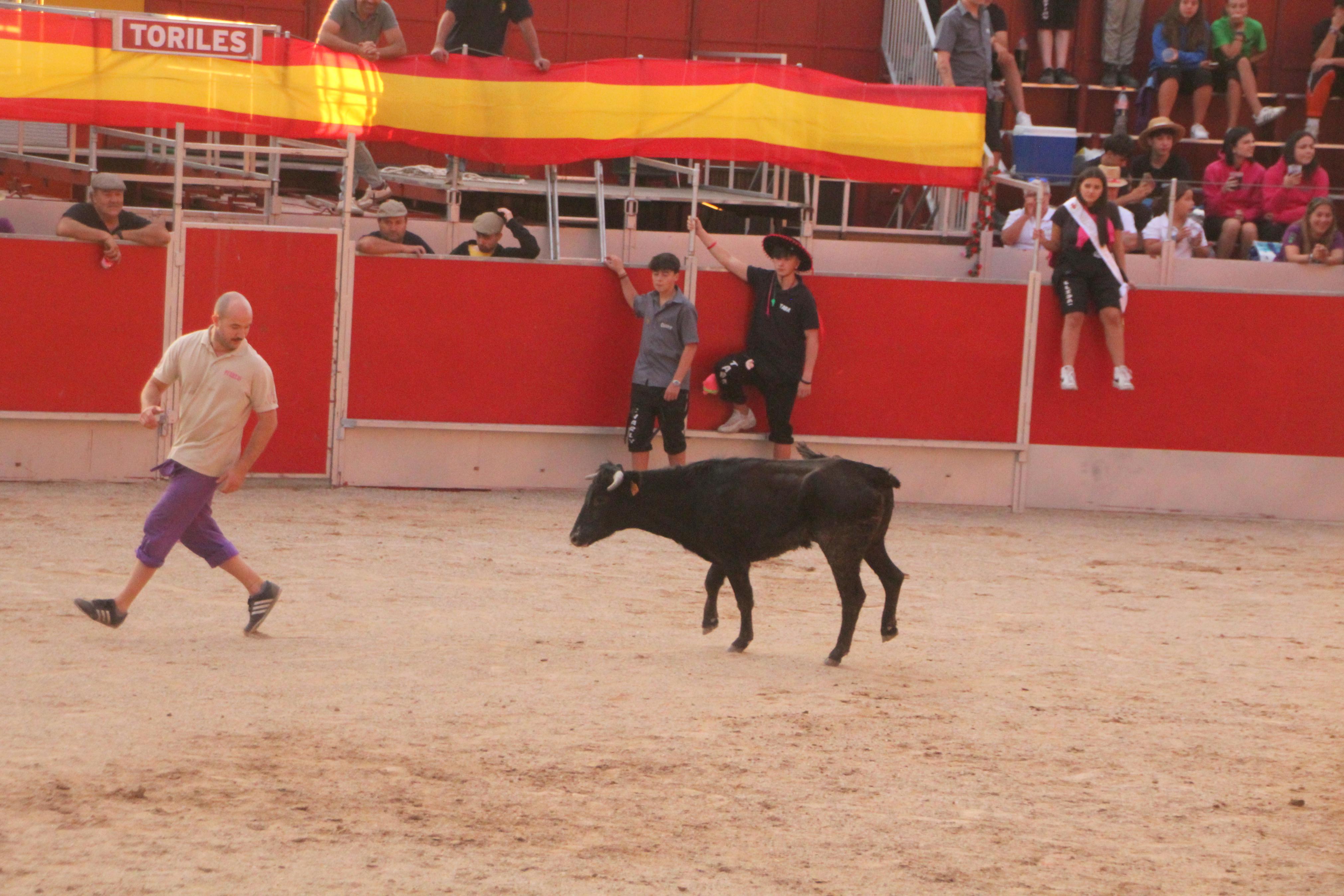 Festejos Taurinos en Baltanás