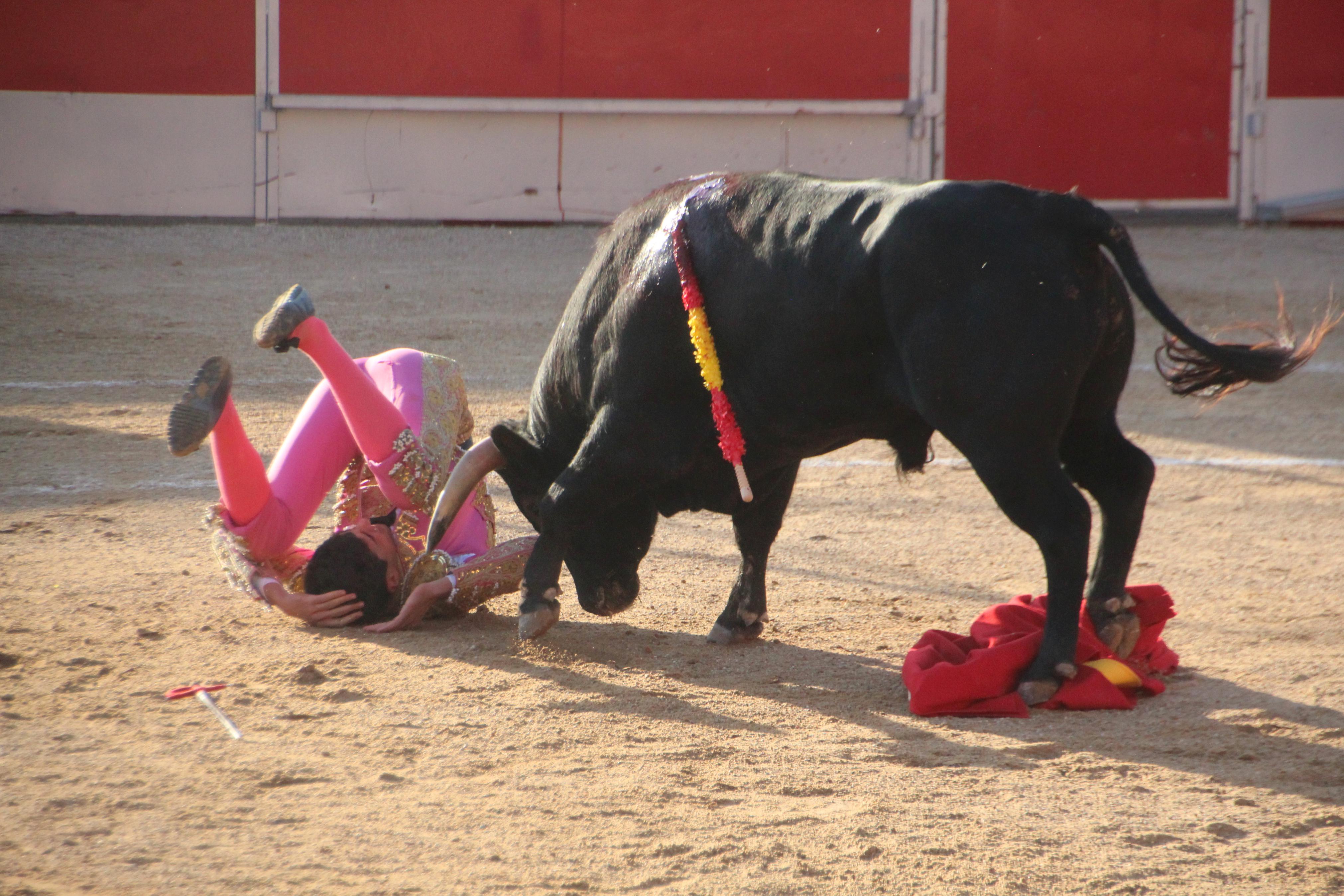 Festejos Taurinos en Baltanás
