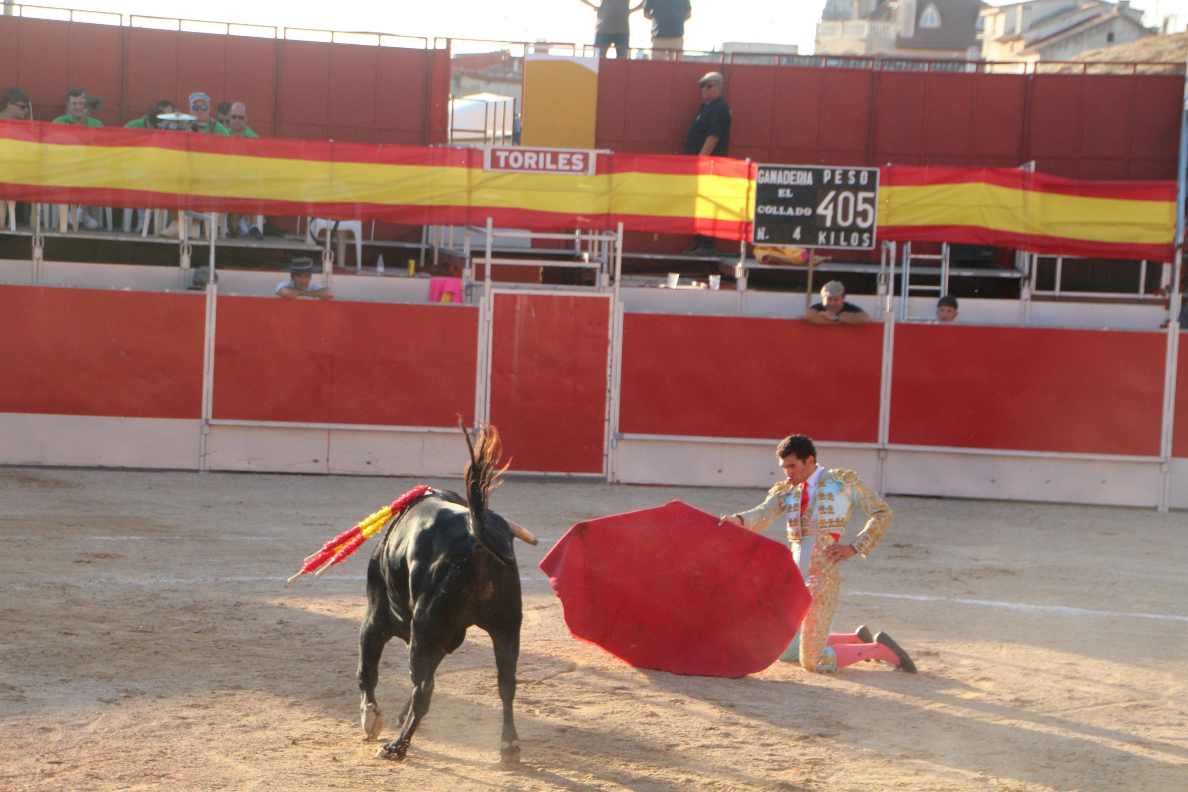 Festejos Taurinos en Baltanás