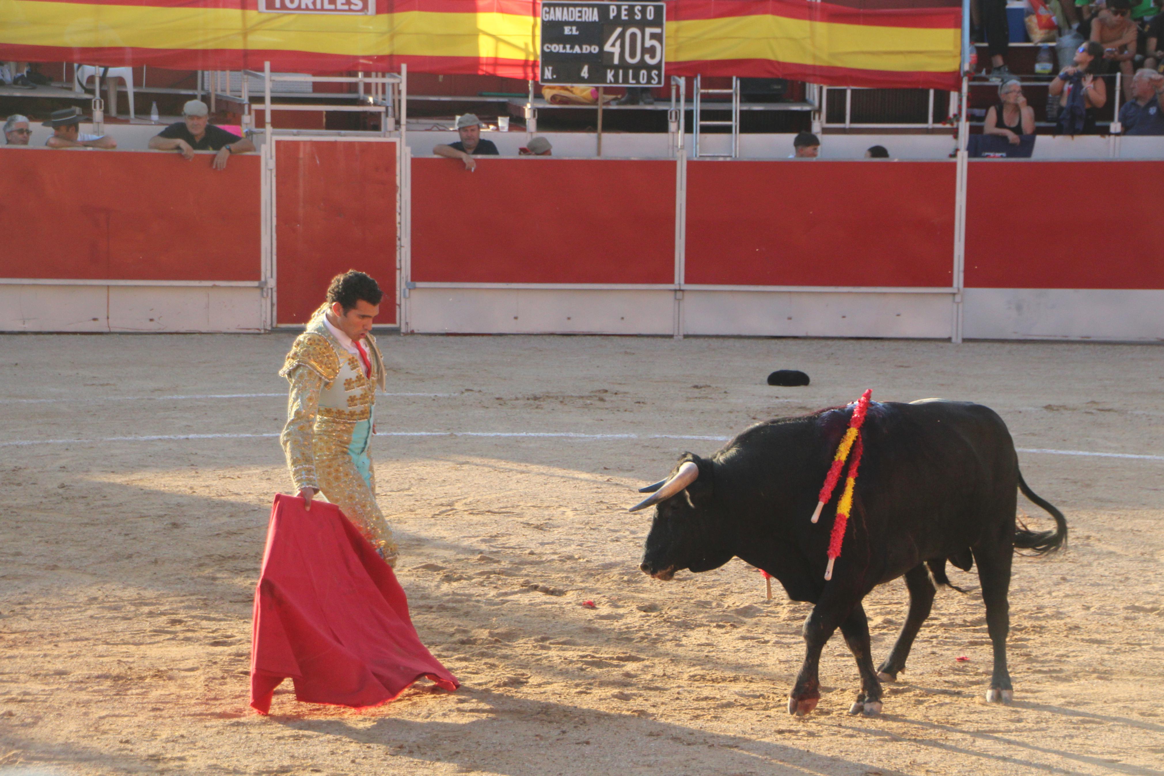 Festejos Taurinos en Baltanás