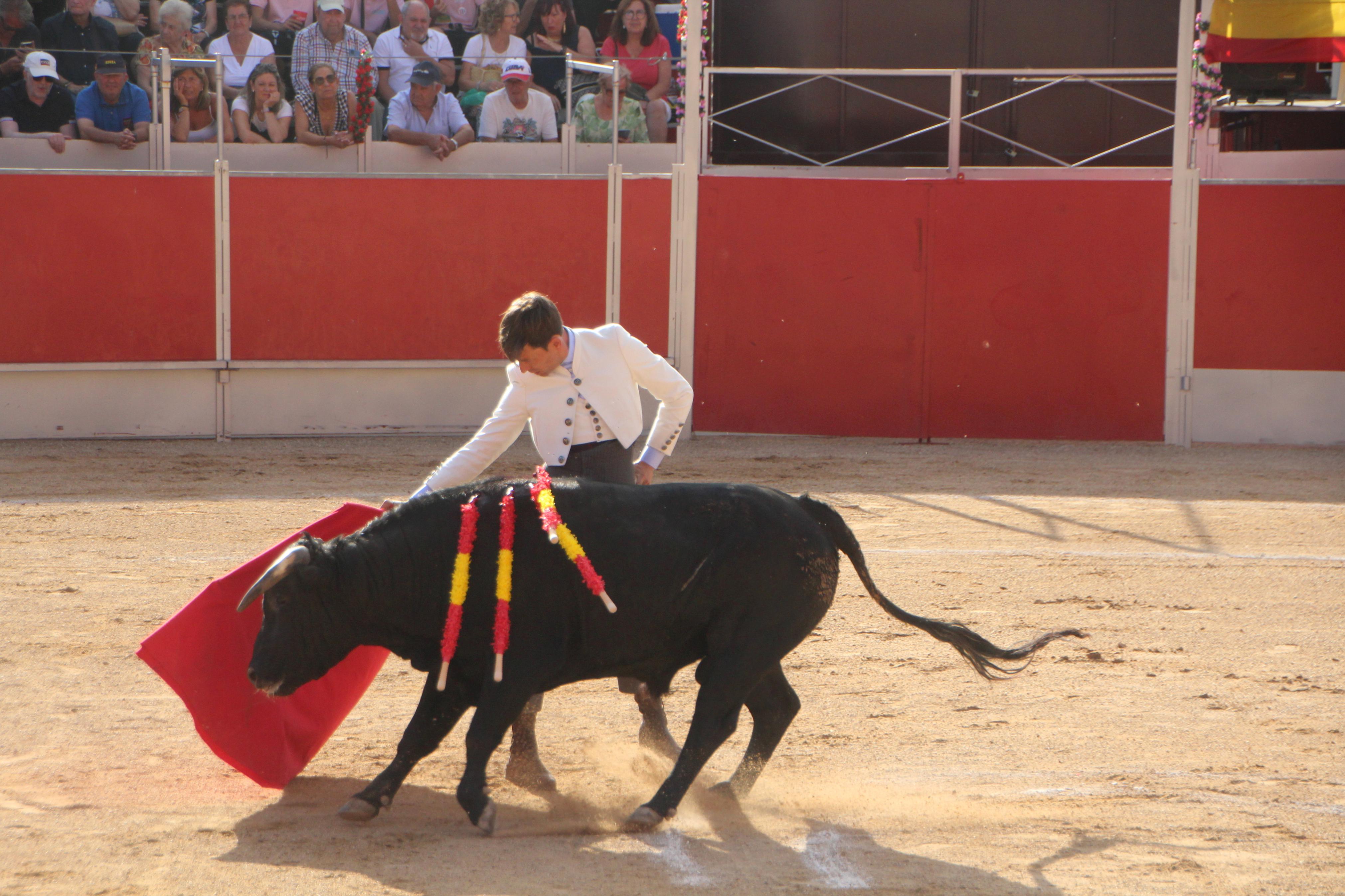 Festejos Taurinos en Baltanás