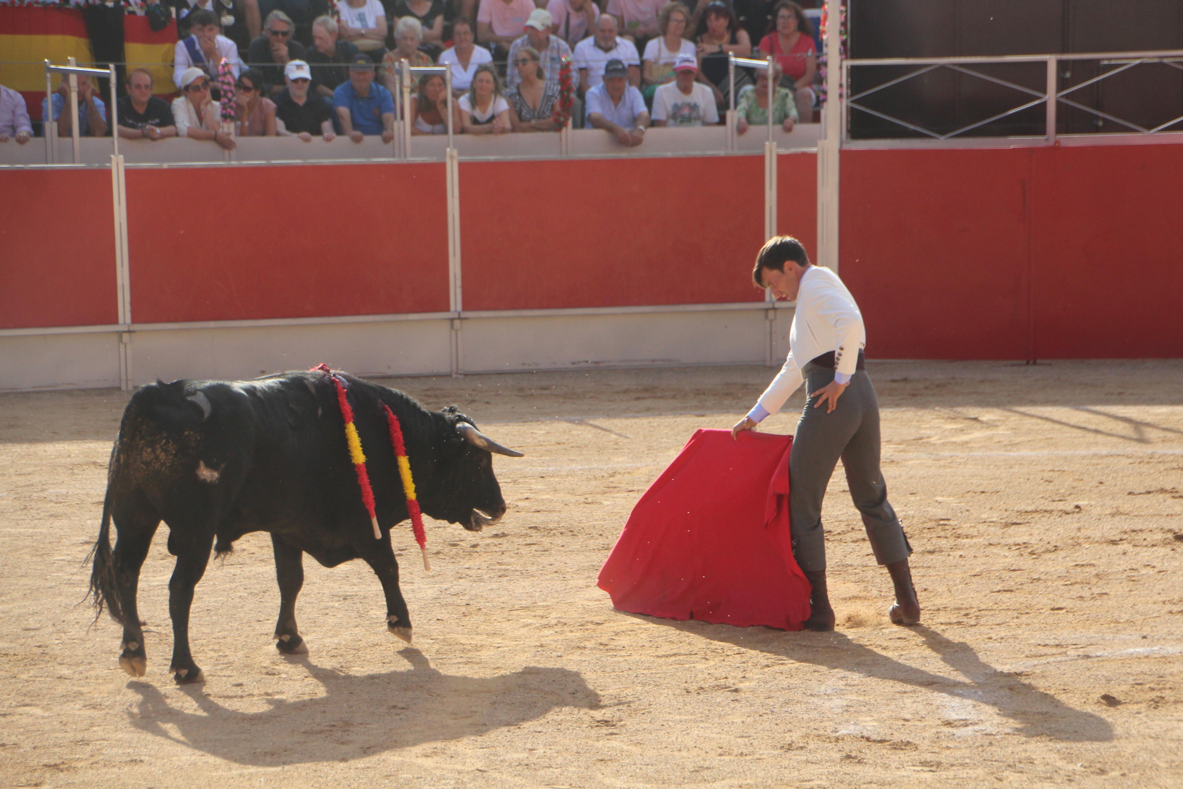 Festejos Taurinos en Baltanás
