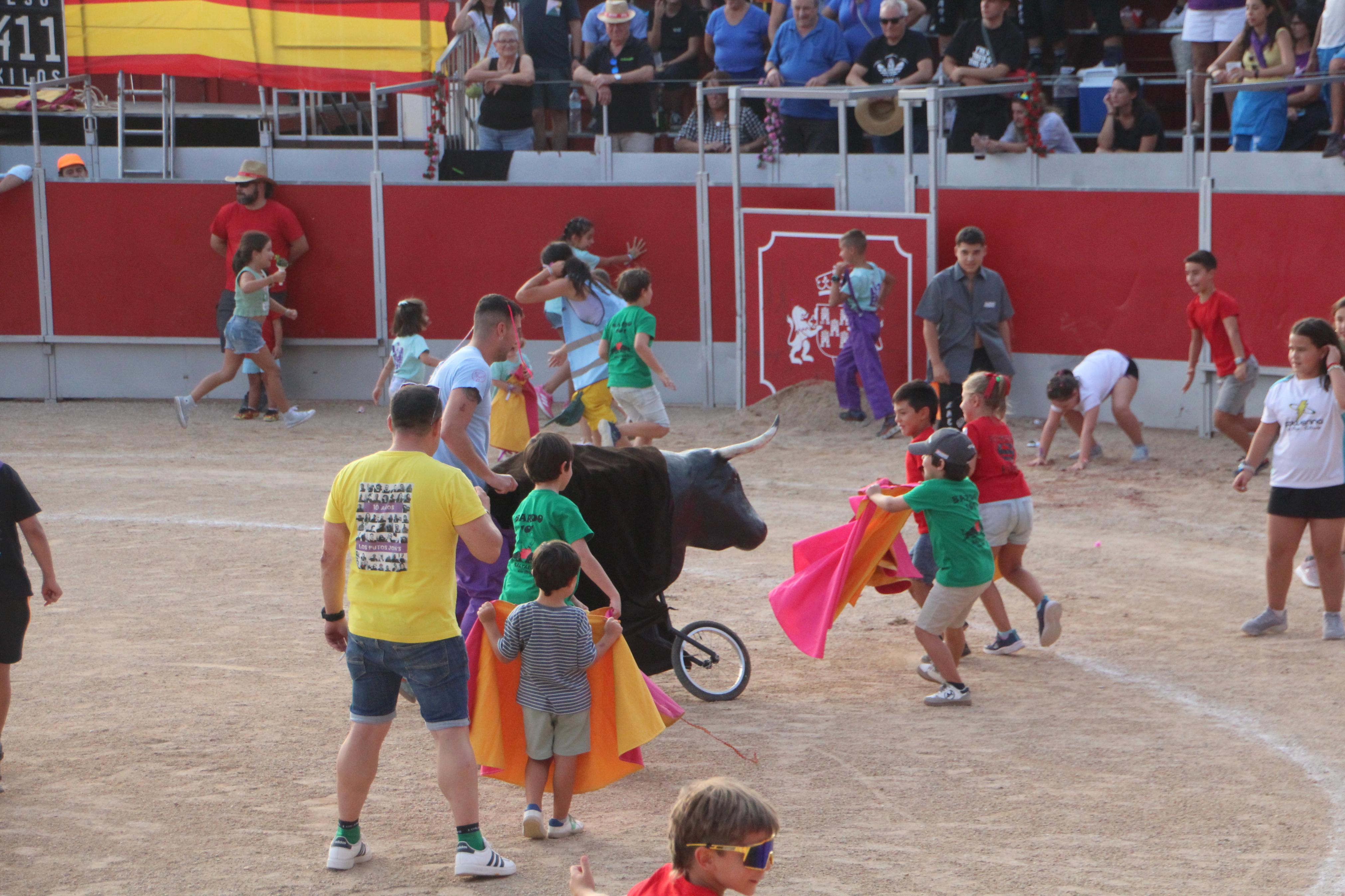 Festejos Taurinos en Baltanás