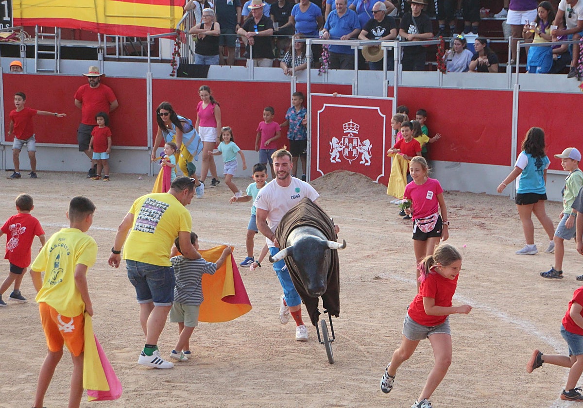 Festejos Taurinos en Baltanás