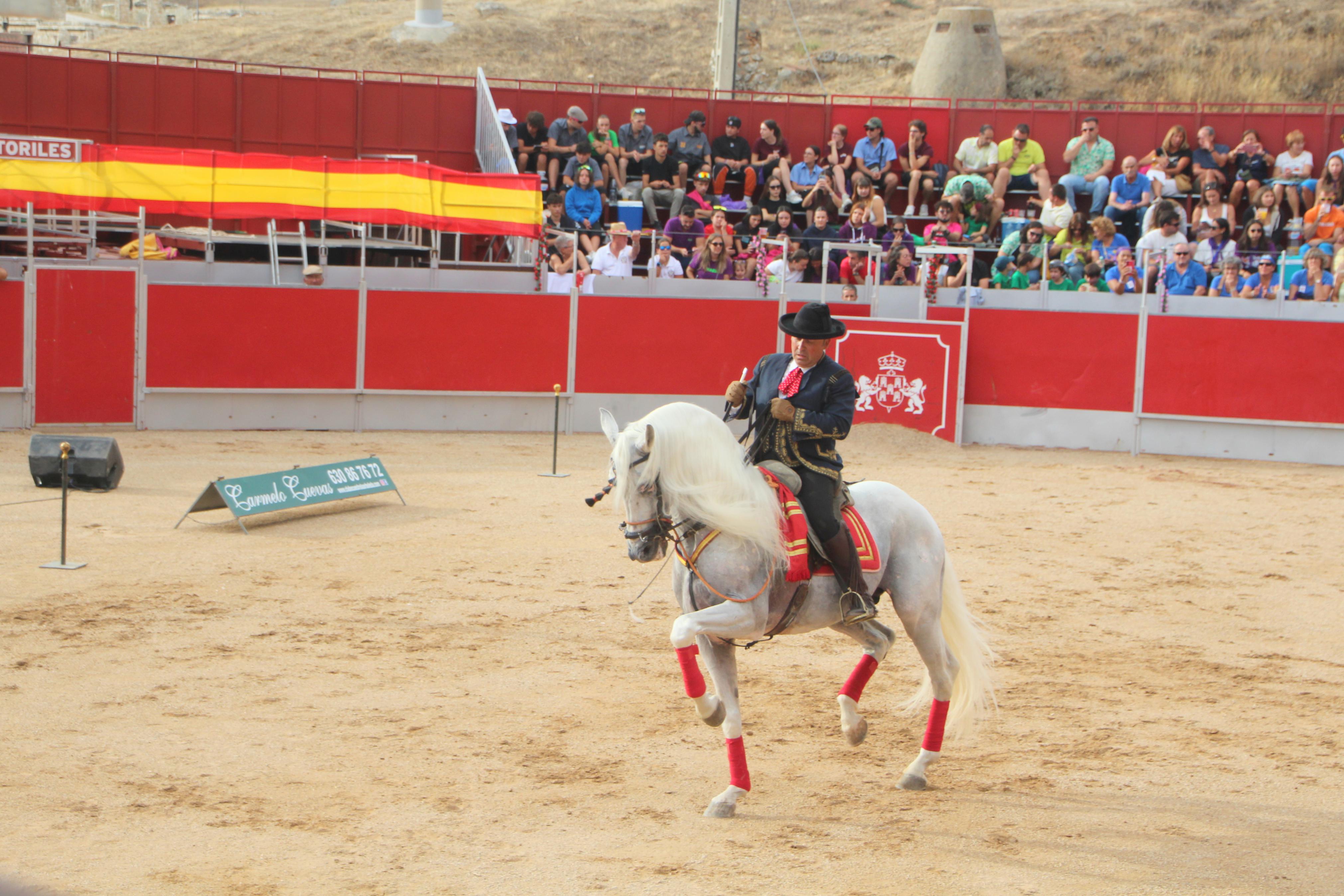 Festejos Taurinos en Baltanás