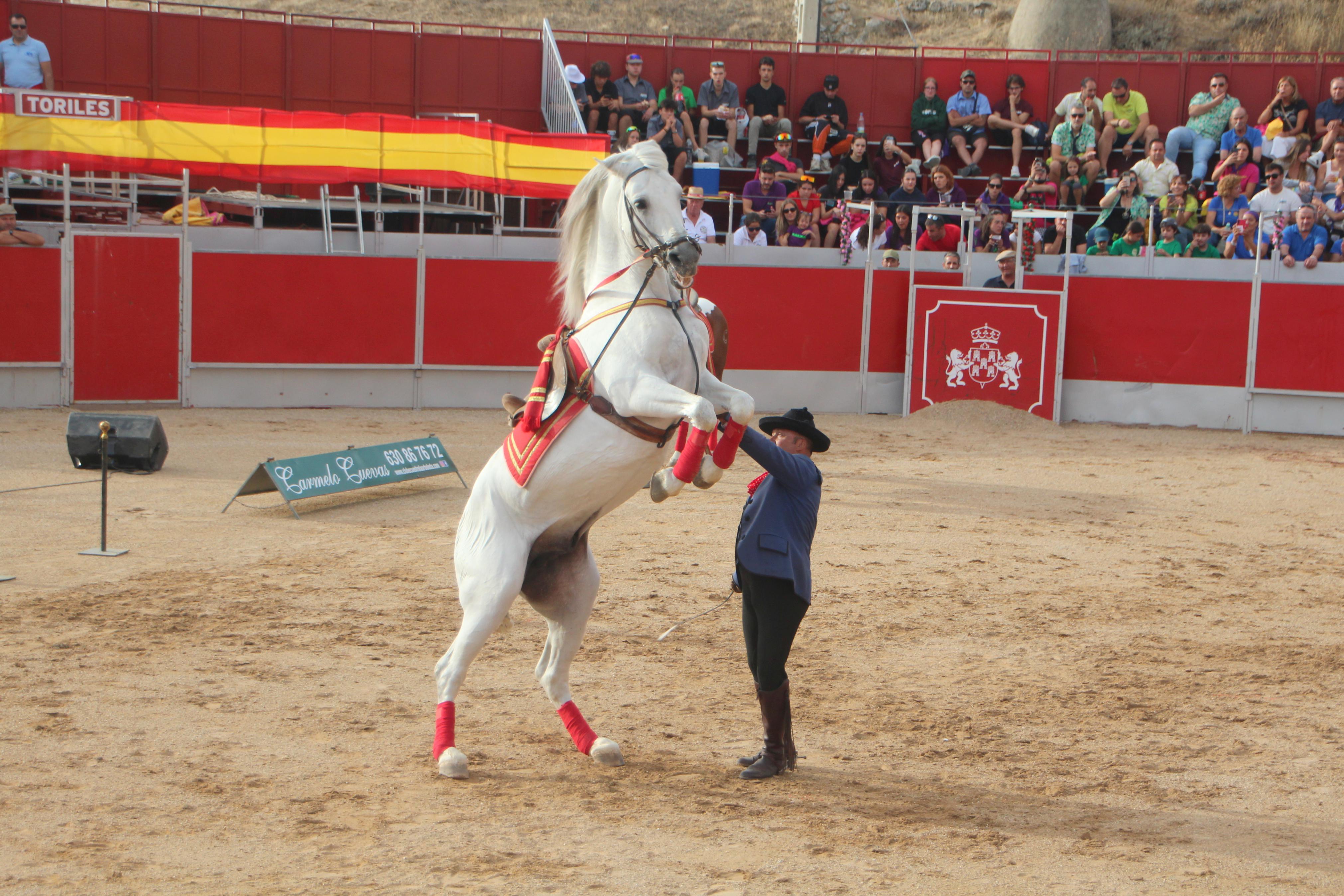 Festejos Taurinos en Baltanás