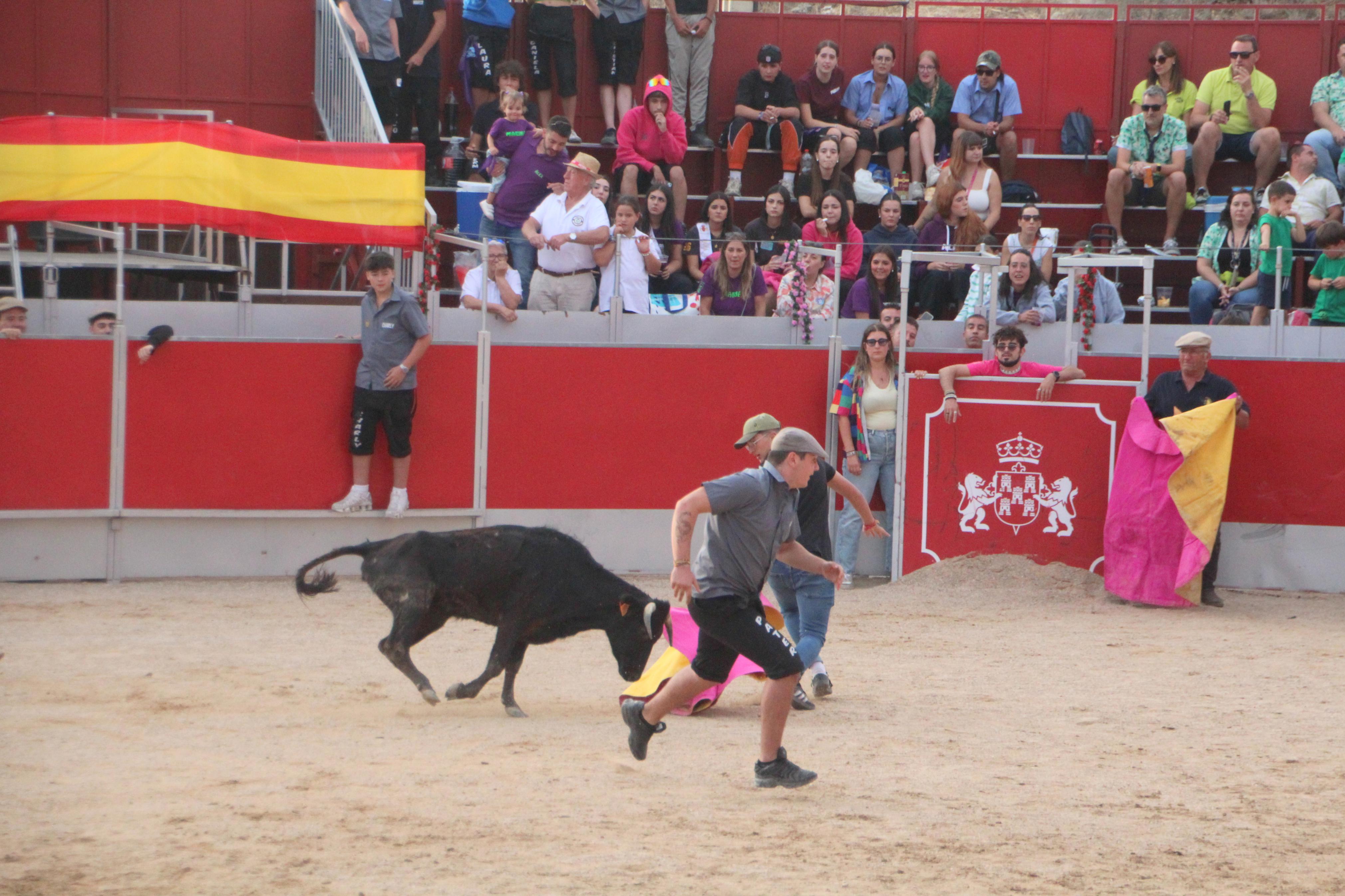 Festejos Taurinos en Baltanás