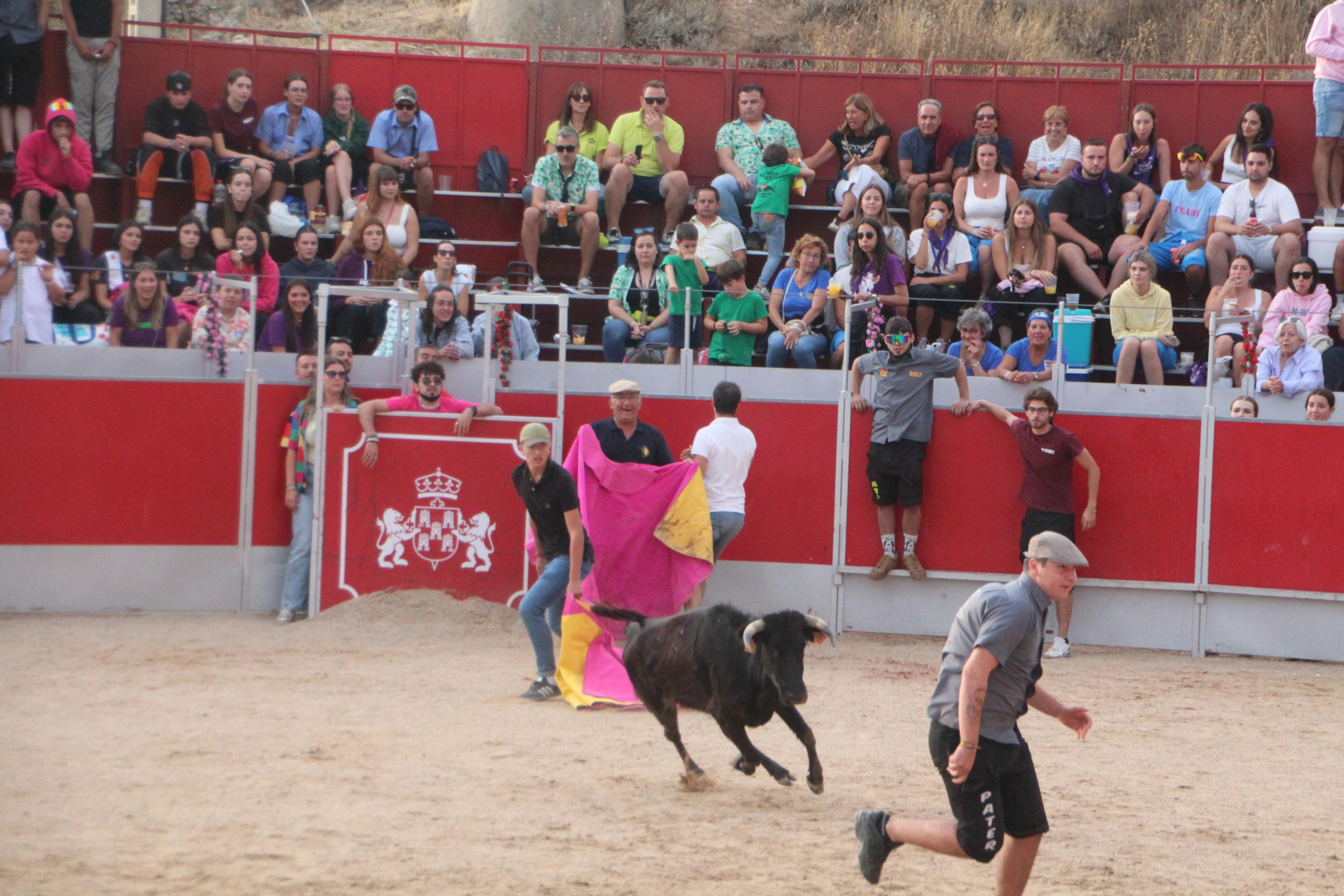 Festejos Taurinos en Baltanás