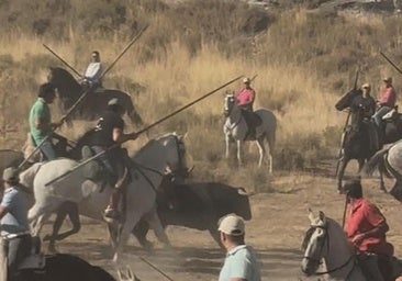 Un joven resulta herido por asta de toro en el encierro de Portillo