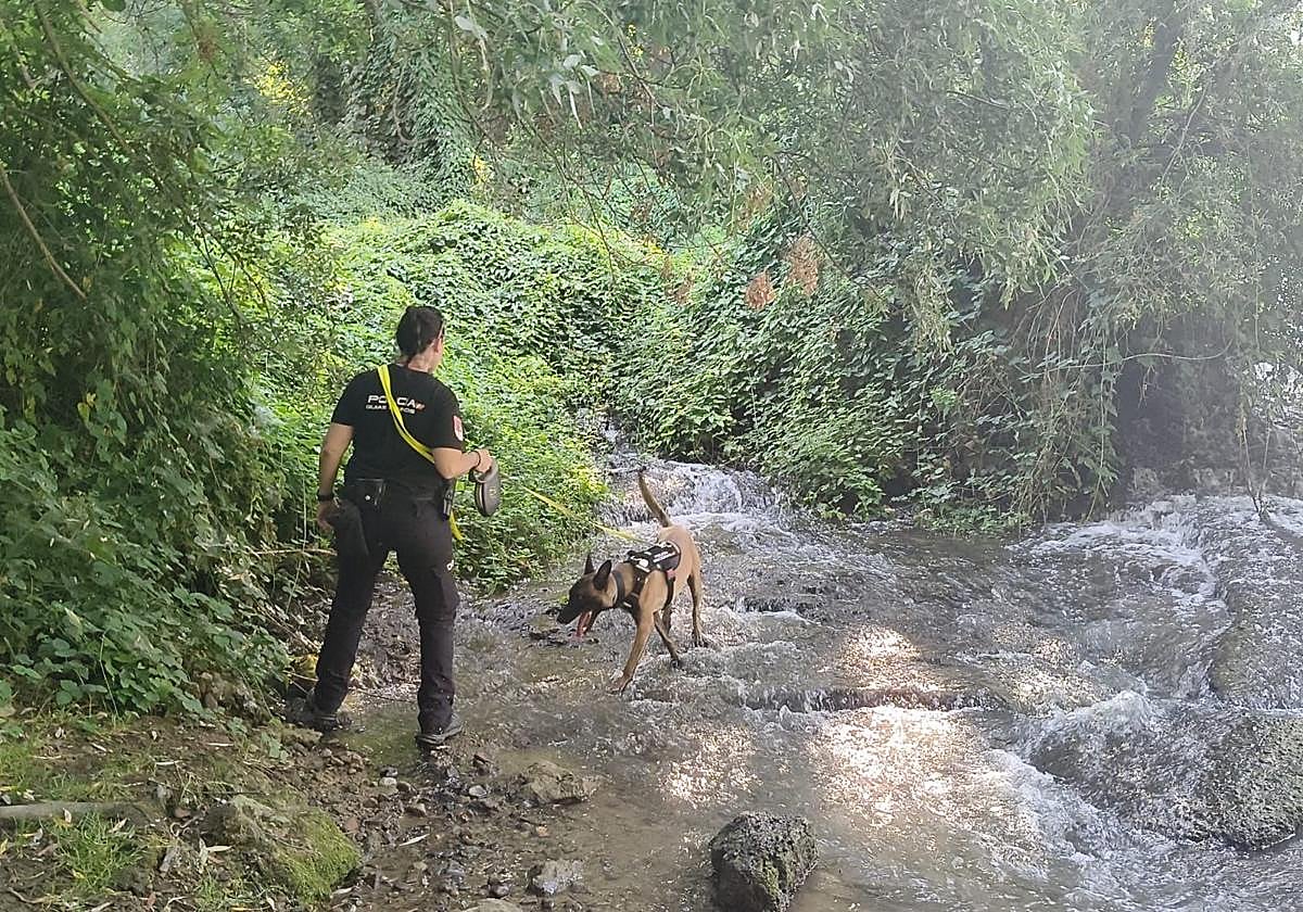 Labores de búsqueda de la mujer en el río.
