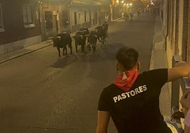 Un pastor, en el encierro de este martes en Laguna de Duero.