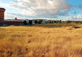Terrenos que ocupará el futuro recinto ferial de Segovia.