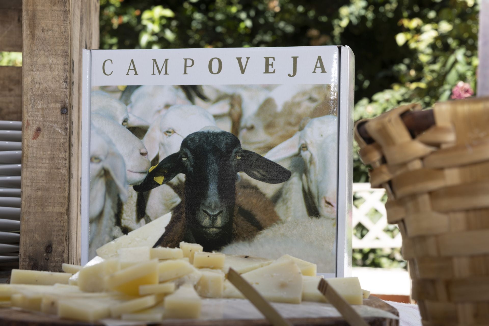 Buen ambiente en la última jornada de la Terraza de El Norte