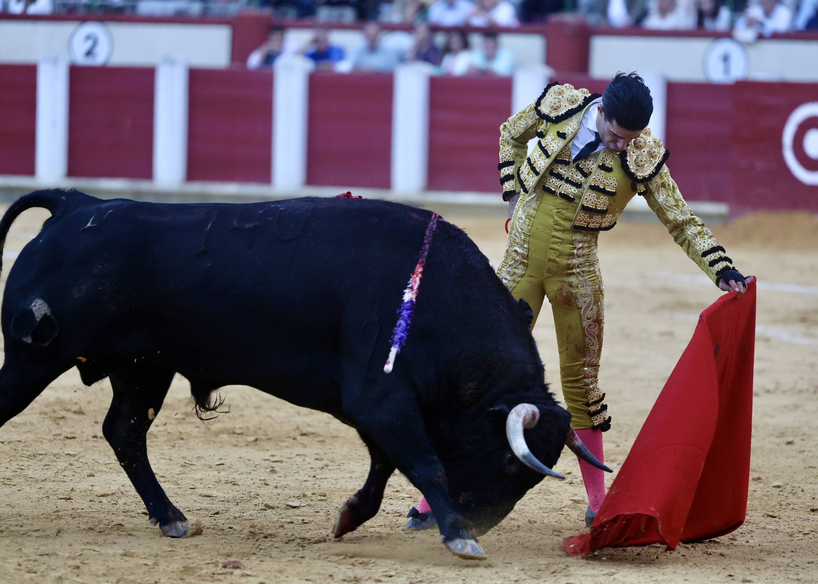 El mano a mano de Talavante y Emilio de Justo, en imágenes