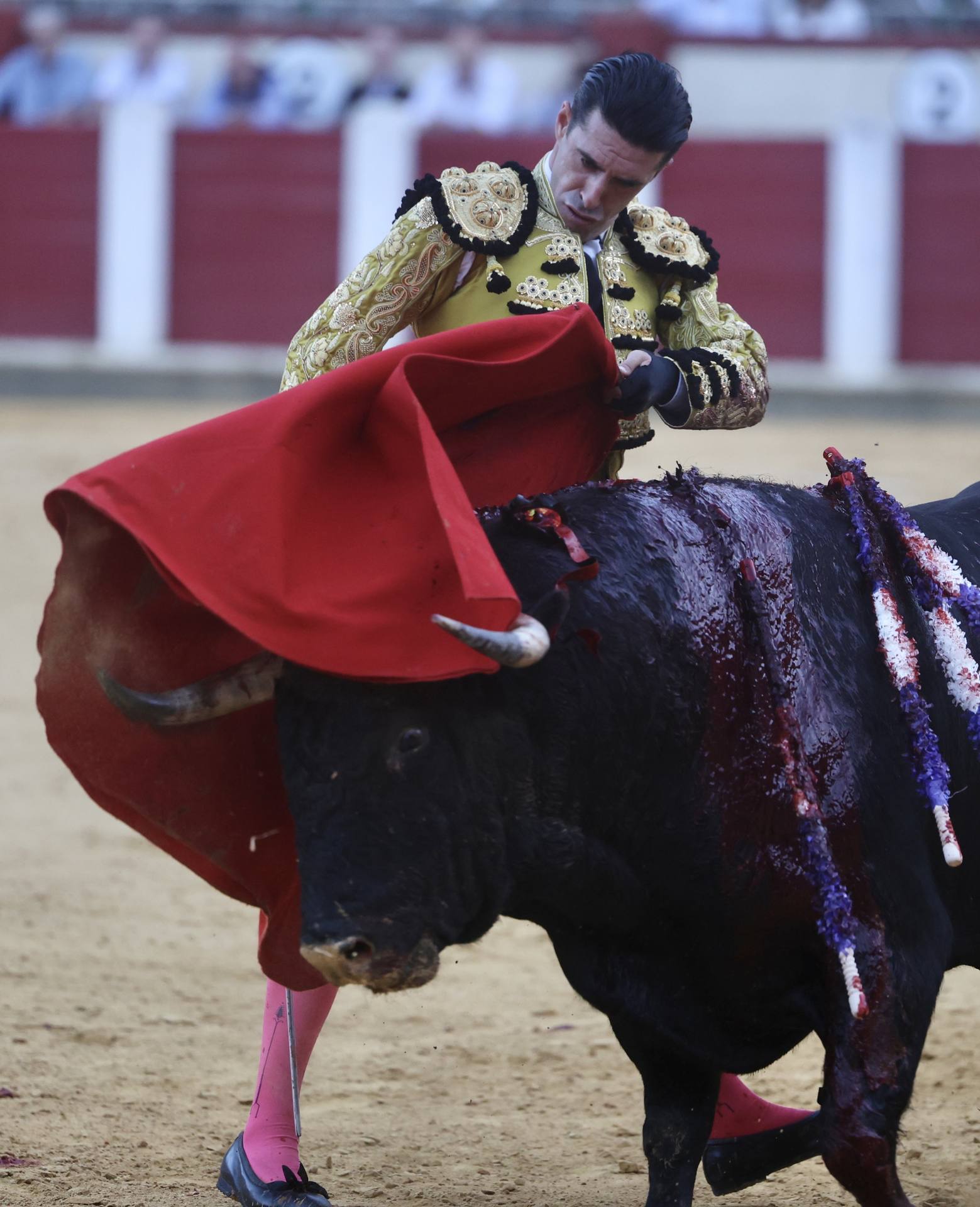 El mano a mano de Talavante y Emilio de Justo, en imágenes