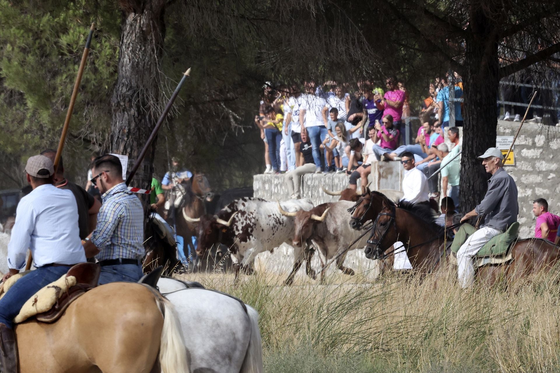 El encierro de Portillo, en imágenes