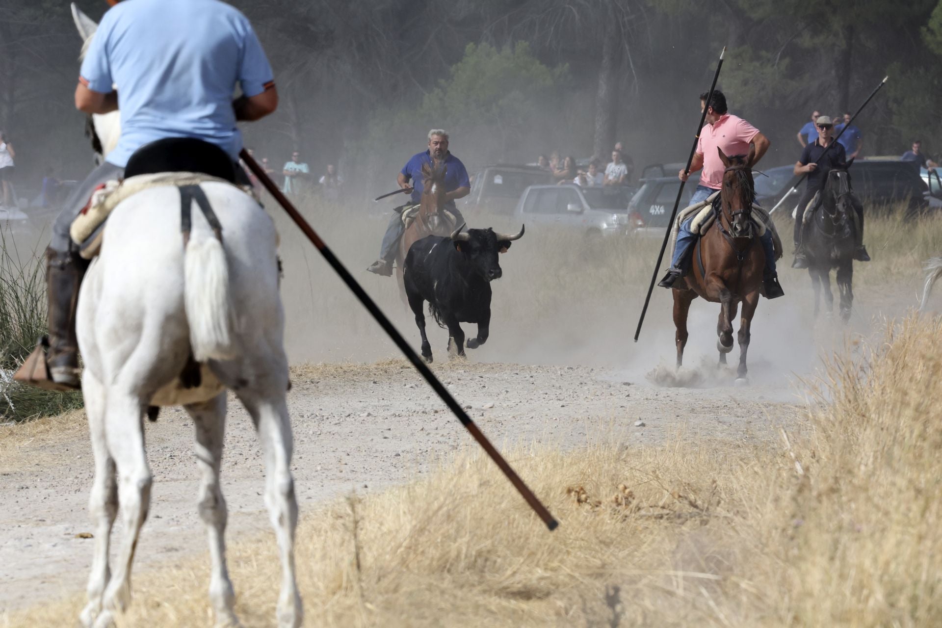 El encierro de Portillo, en imágenes
