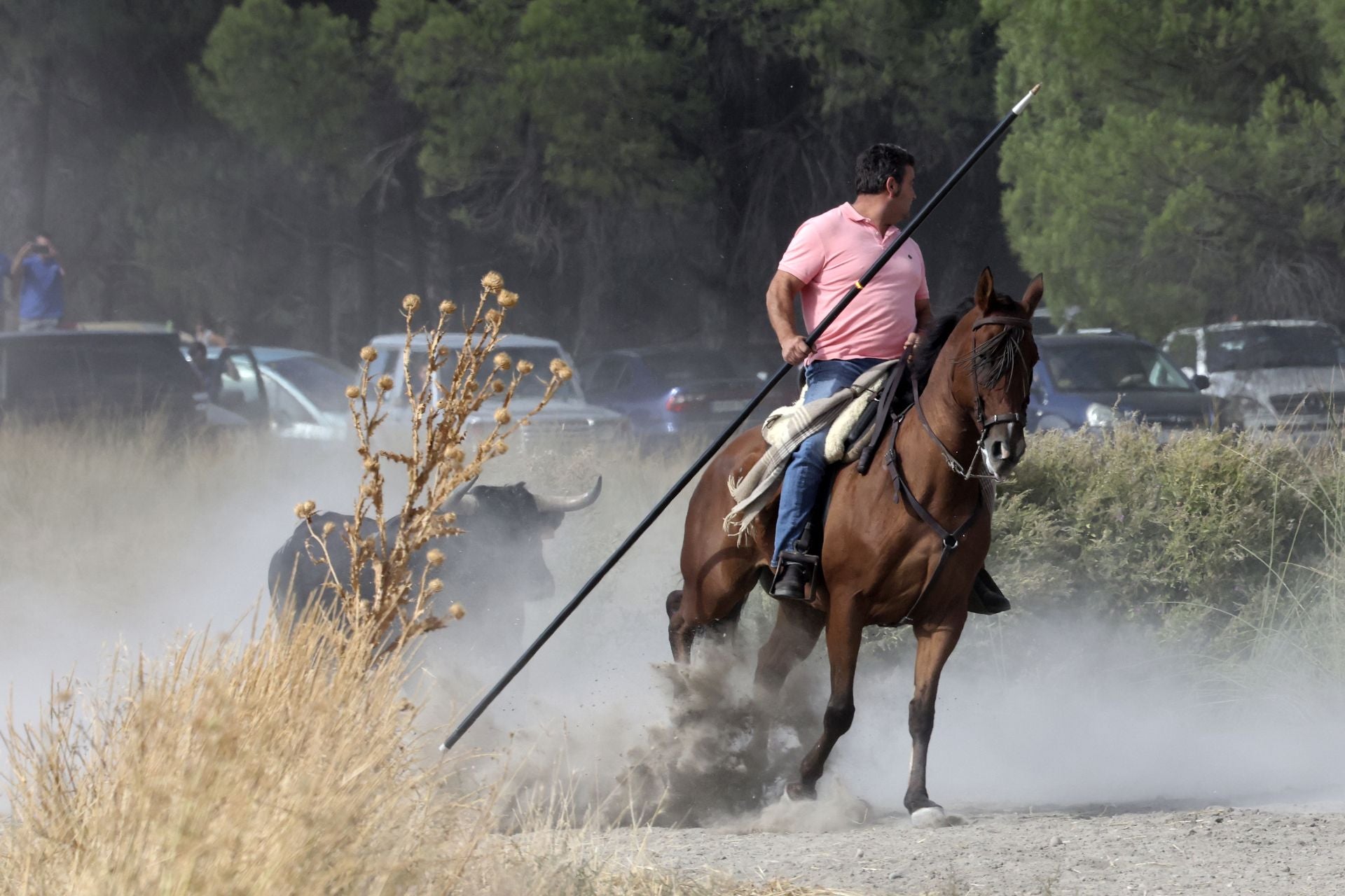 El encierro de Portillo, en imágenes