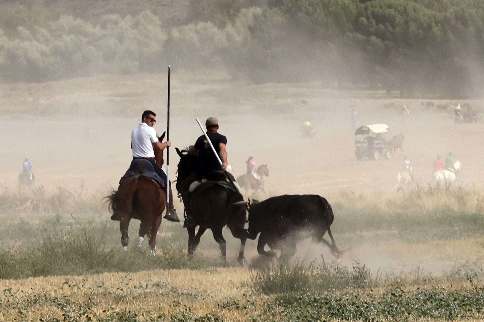 El encierro de Portillo, en imágenes