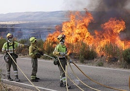 Efectivos trabajan en la extinción del incendio en Abejera, en Zamora.