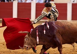 Imágenes de la corrida de toros celebrada este viernes en la Plaza de Toros de Valladolid