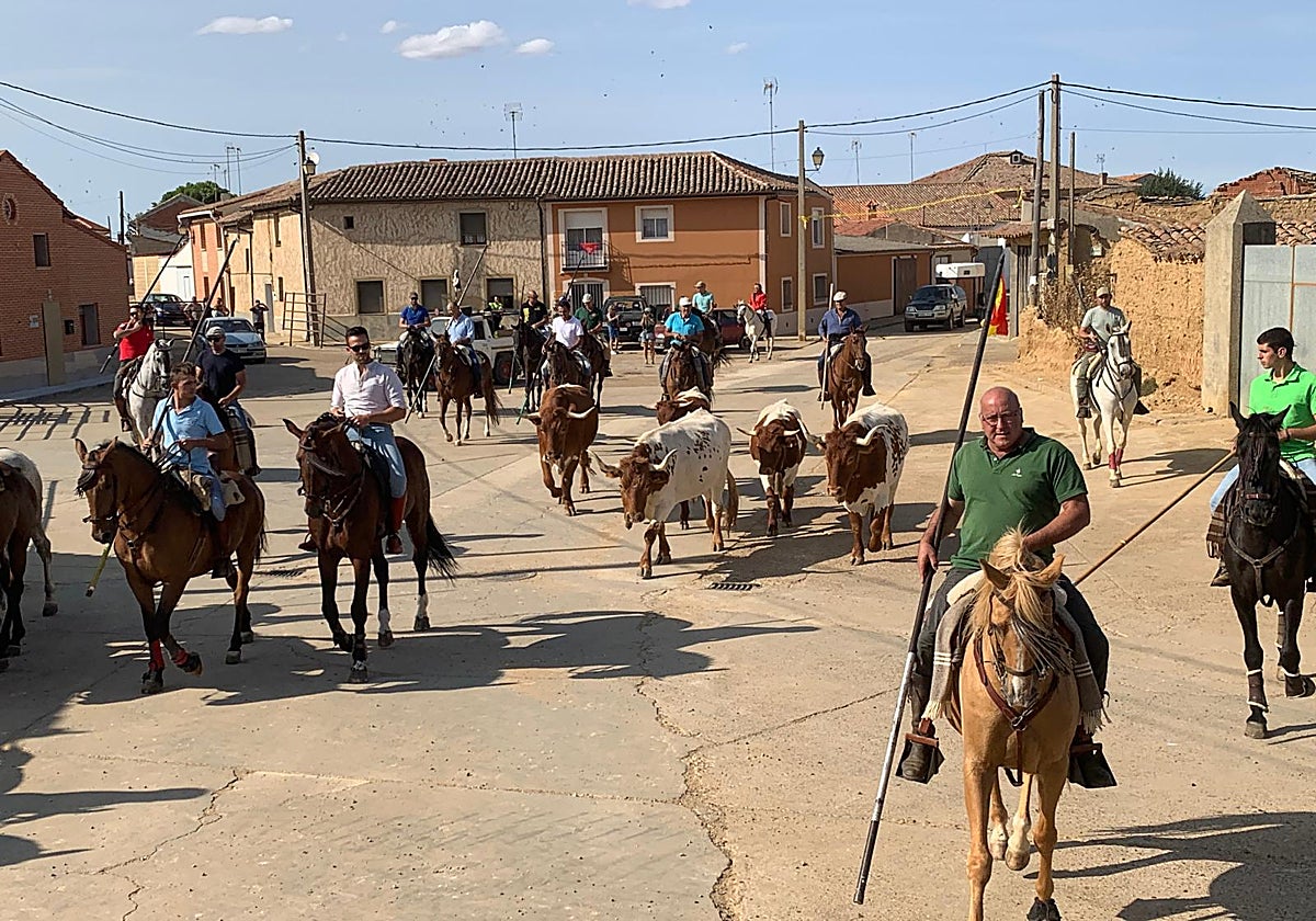 Los caballistas acompañan a los bueyes a la salida del pueblo