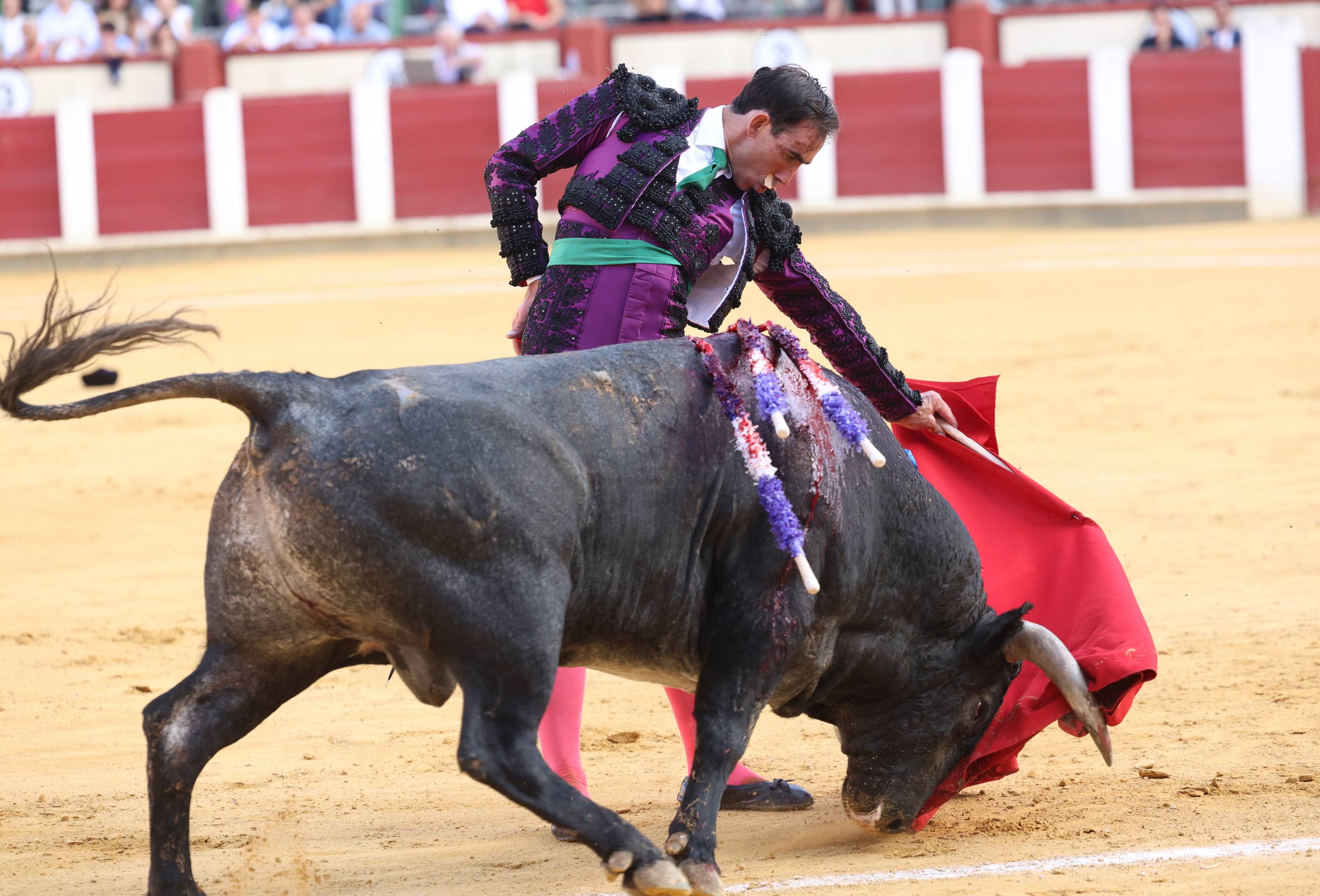 La corrida de toros de Uceda Leal, Jiménez Fortes y Rufo, en imágenes