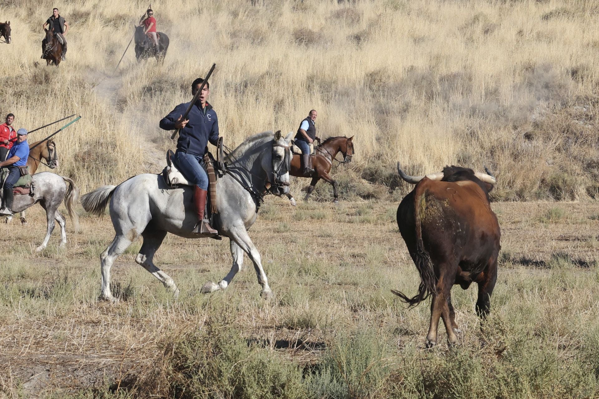Las imágenes del último encierro en Arrabal de Portillo