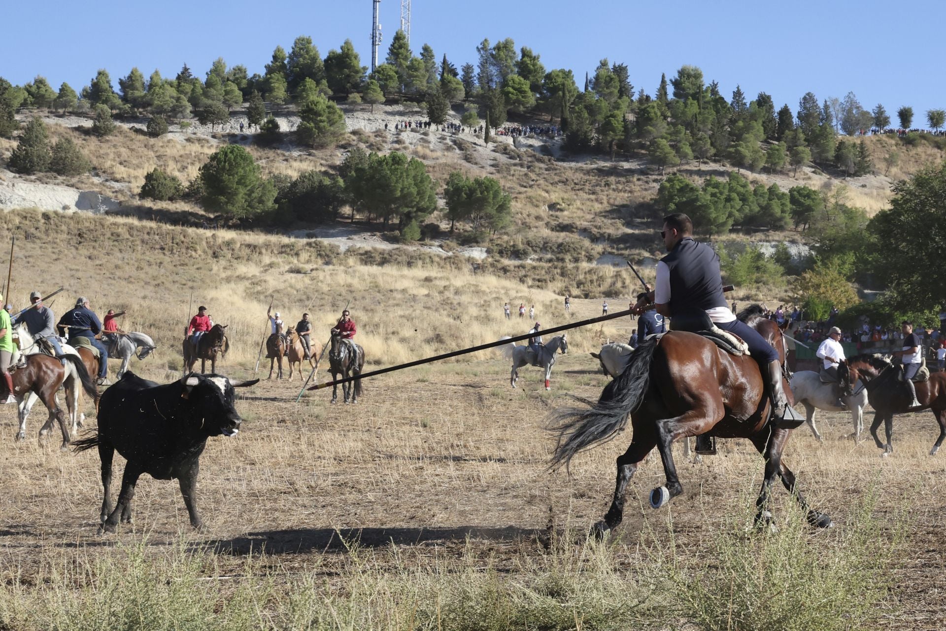 Las imágenes del último encierro en Arrabal de Portillo