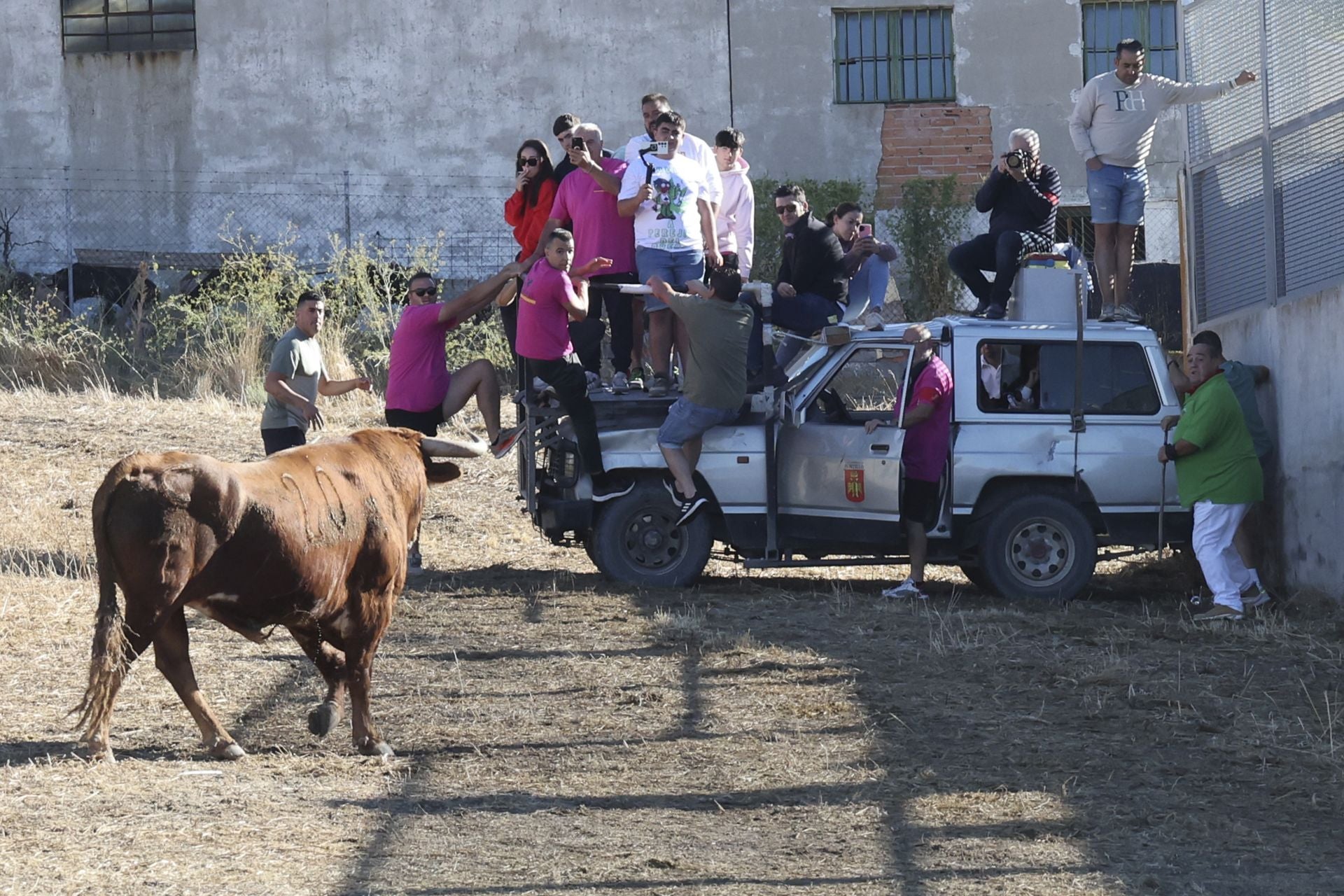 Las imágenes del último encierro en Arrabal de Portillo