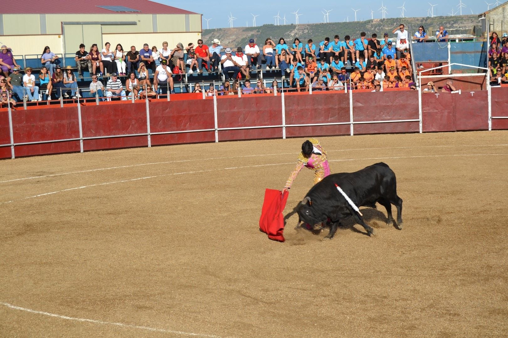 Novillada y día grande de las Fiestas de la Santa Cruz de Astudillo