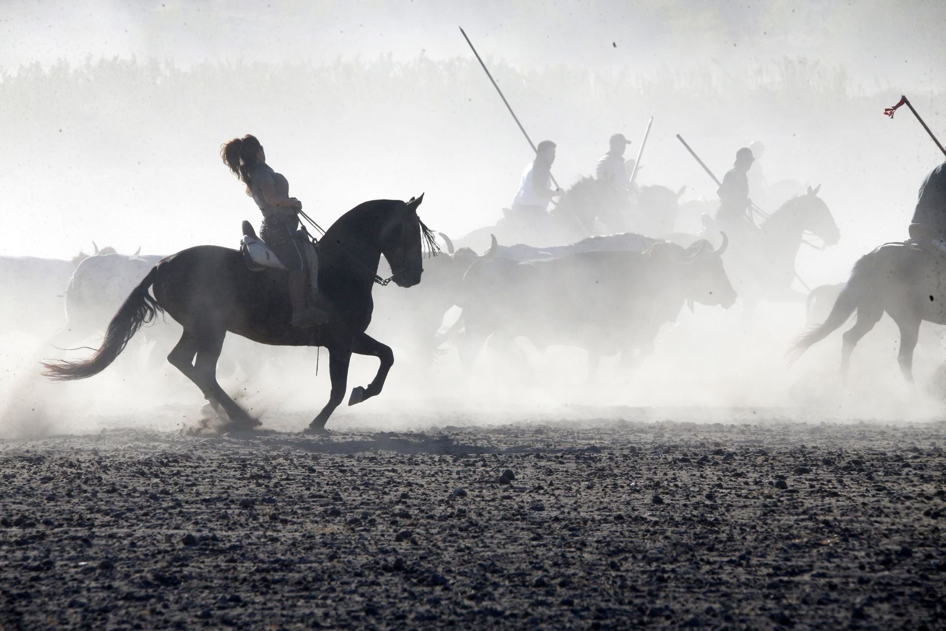 Las imágenes del último encierro en Arrabal de Portillo