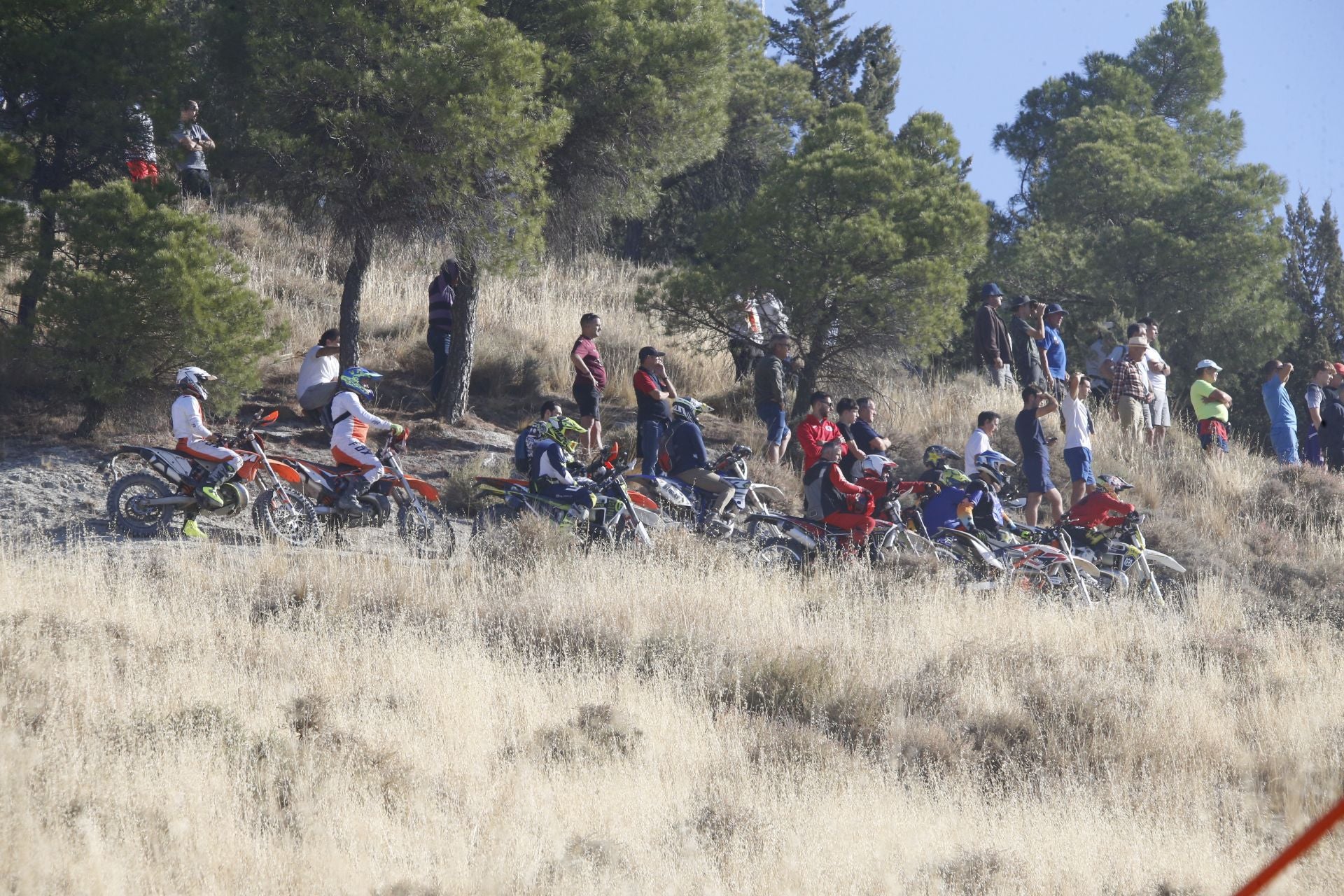 Las imágenes del último encierro en Arrabal de Portillo